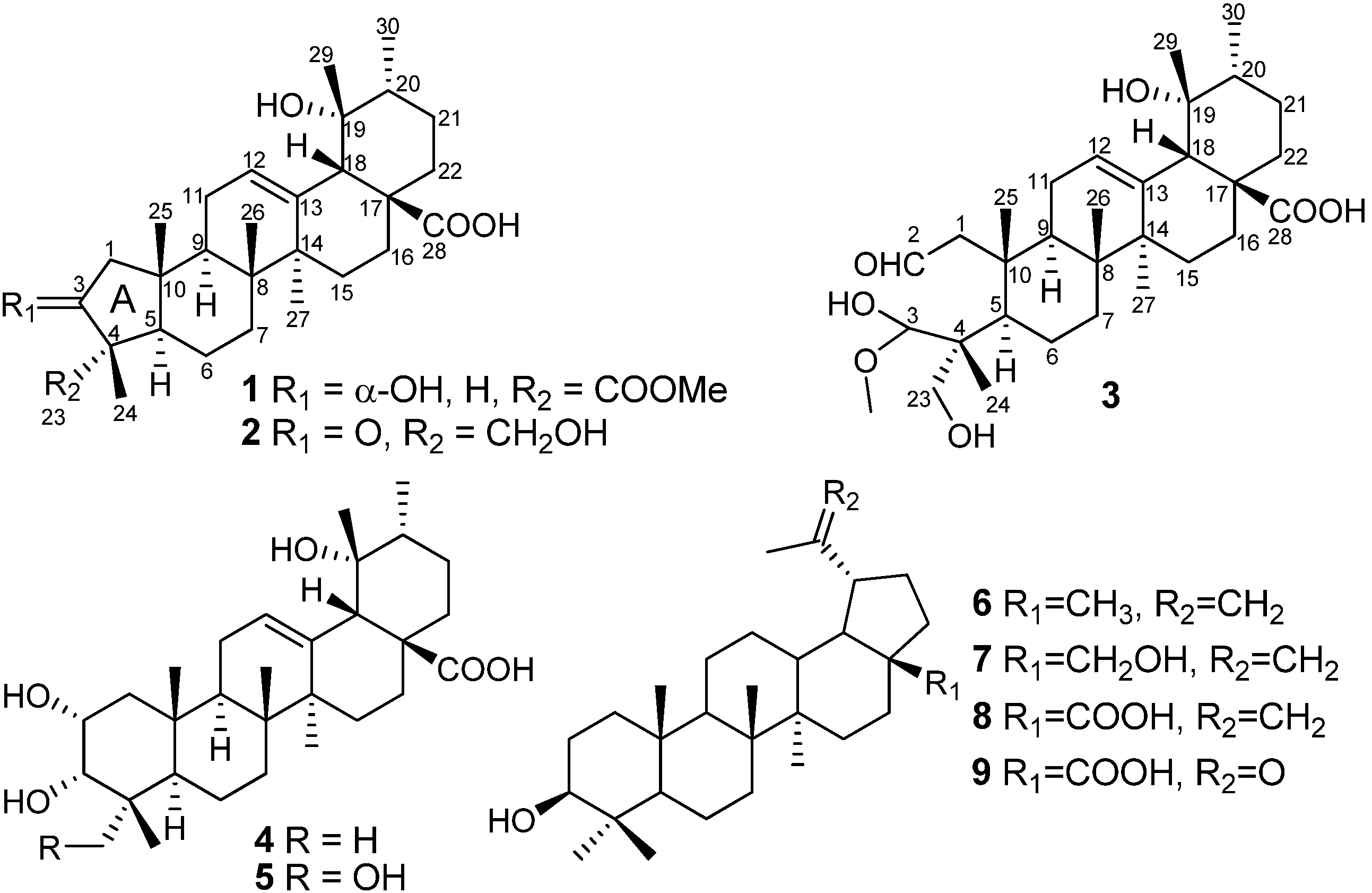 Molecules 19 04897 g001