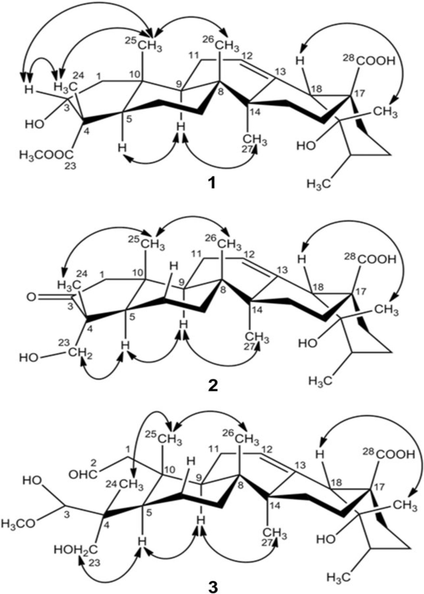 Molecules 19 04897 g003