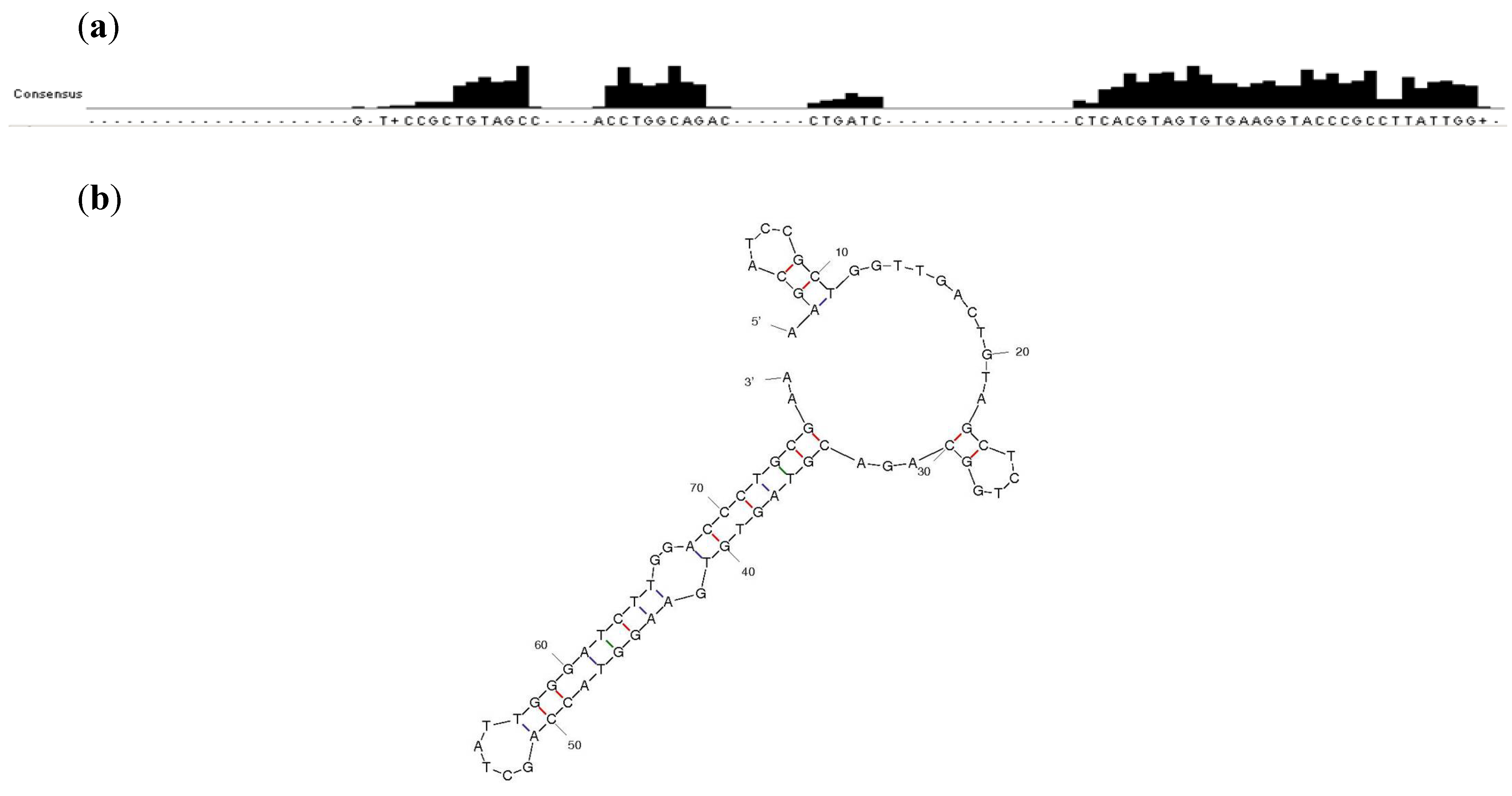 Molecules 19 04986 g002