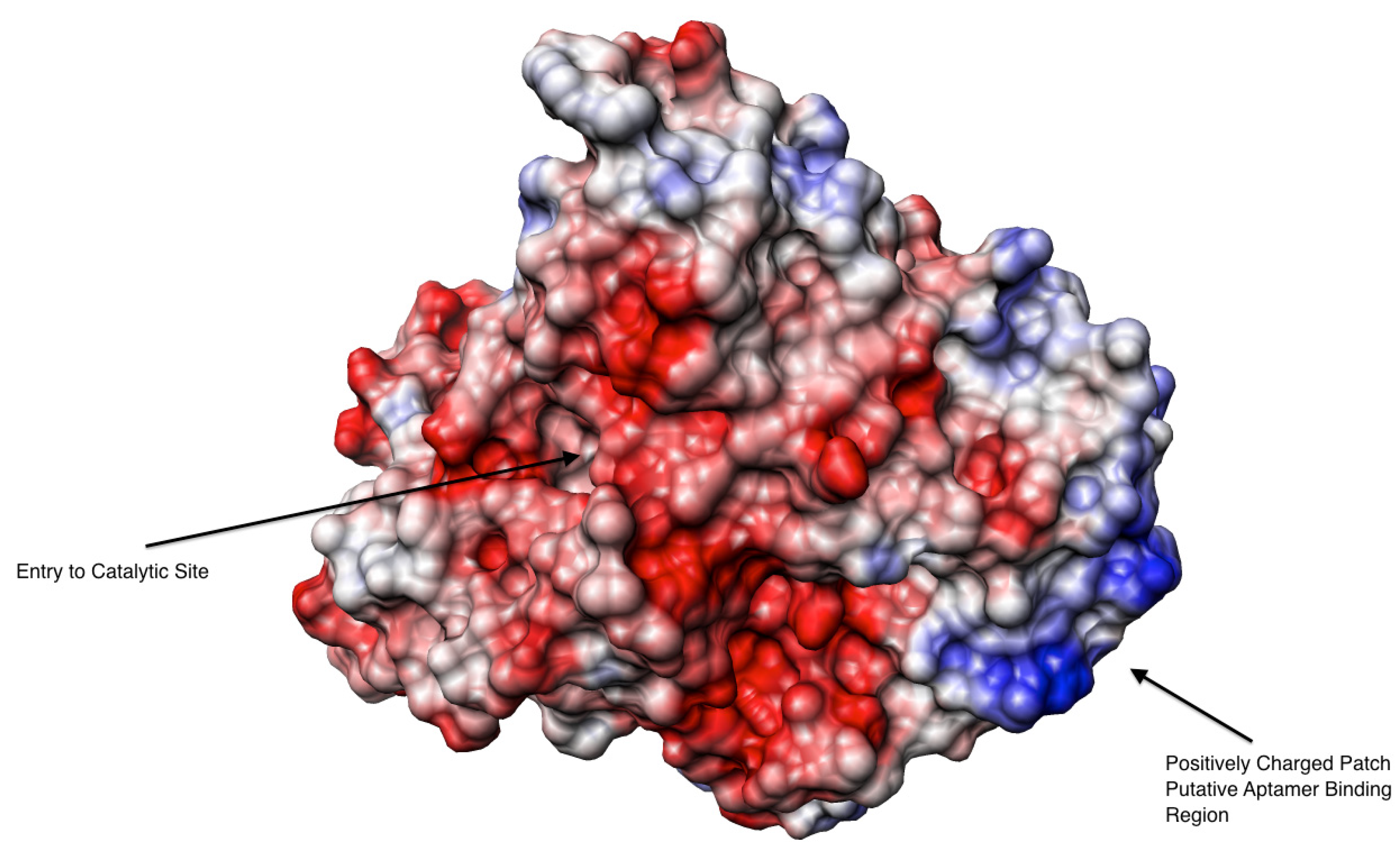 Molecules 19 04986 g003