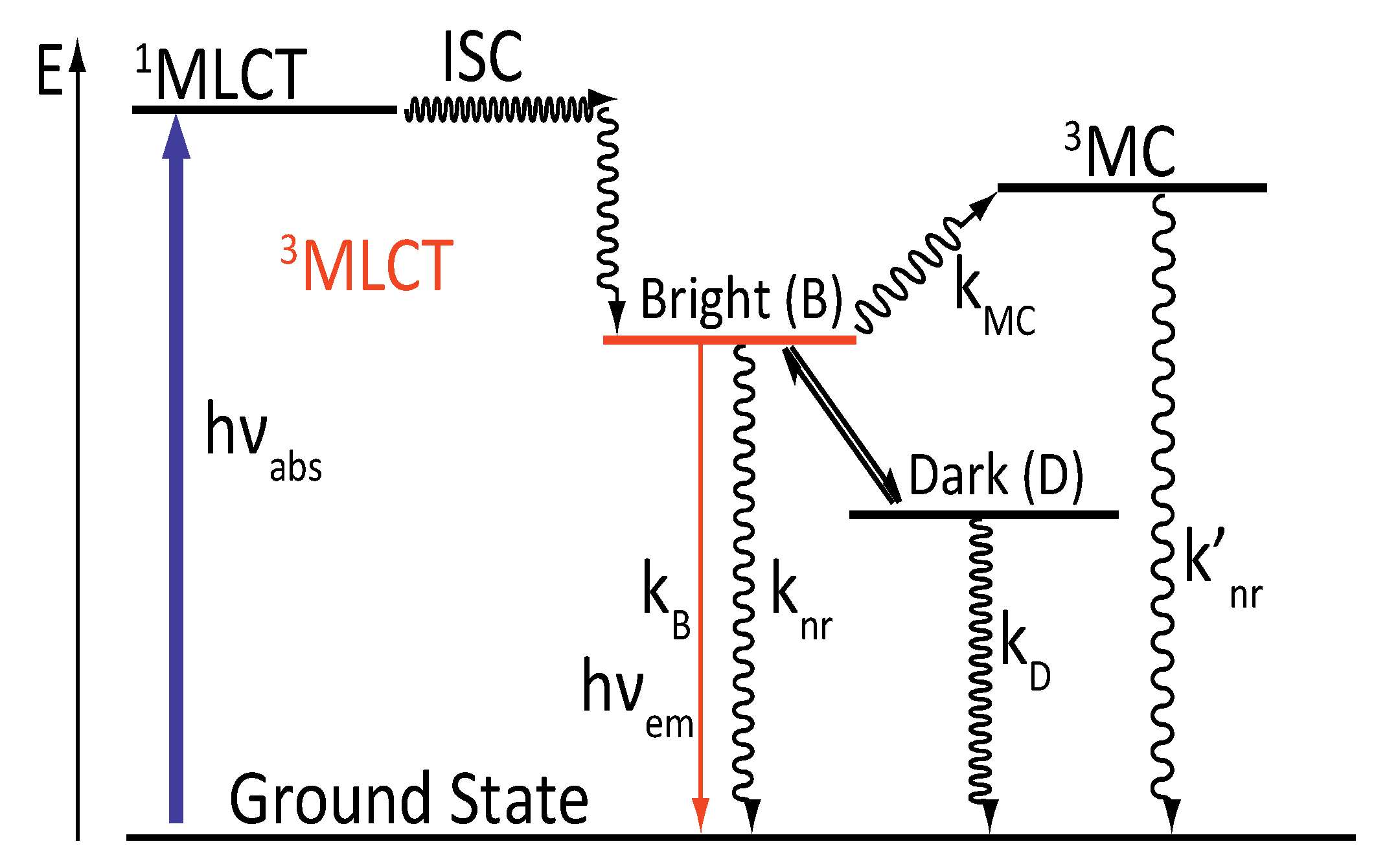Molecules 19 05028 g005
