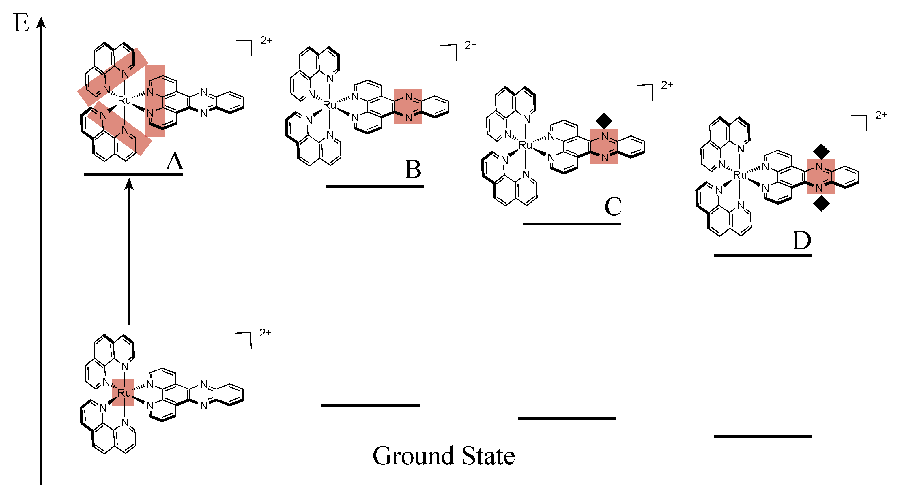 Molecules 19 05028 g007