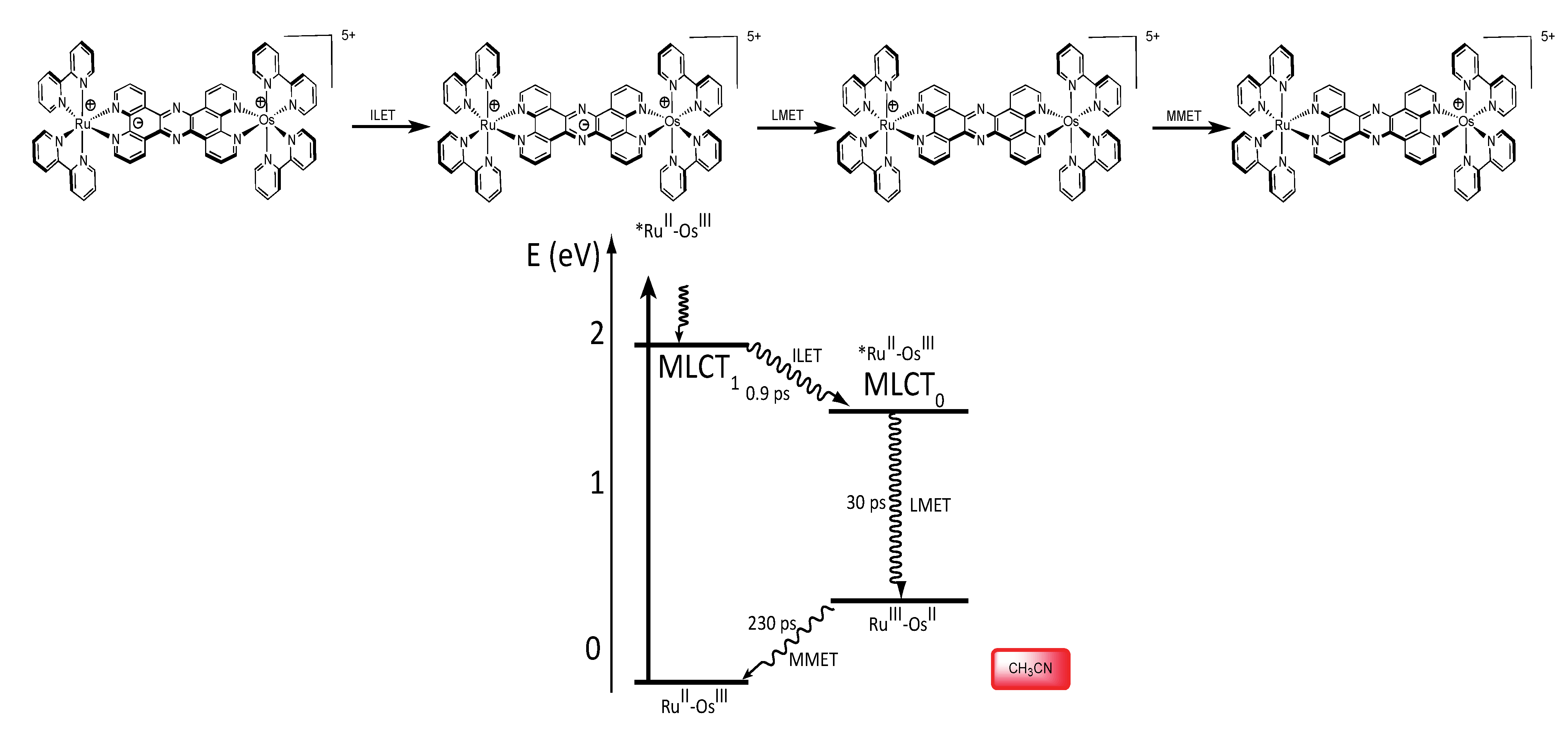 Molecules 19 05028 g030