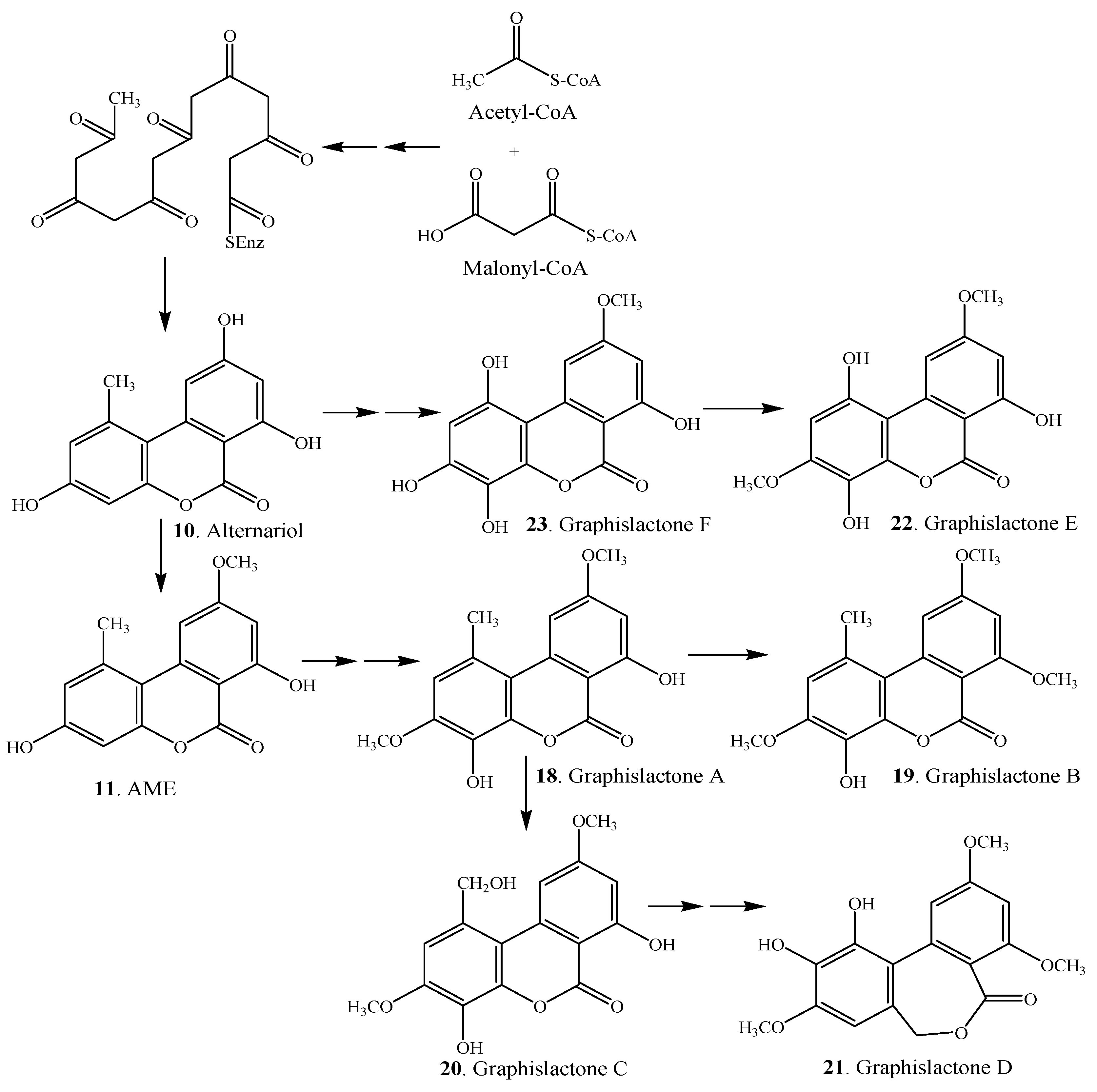 Molecules 19 05088 g007