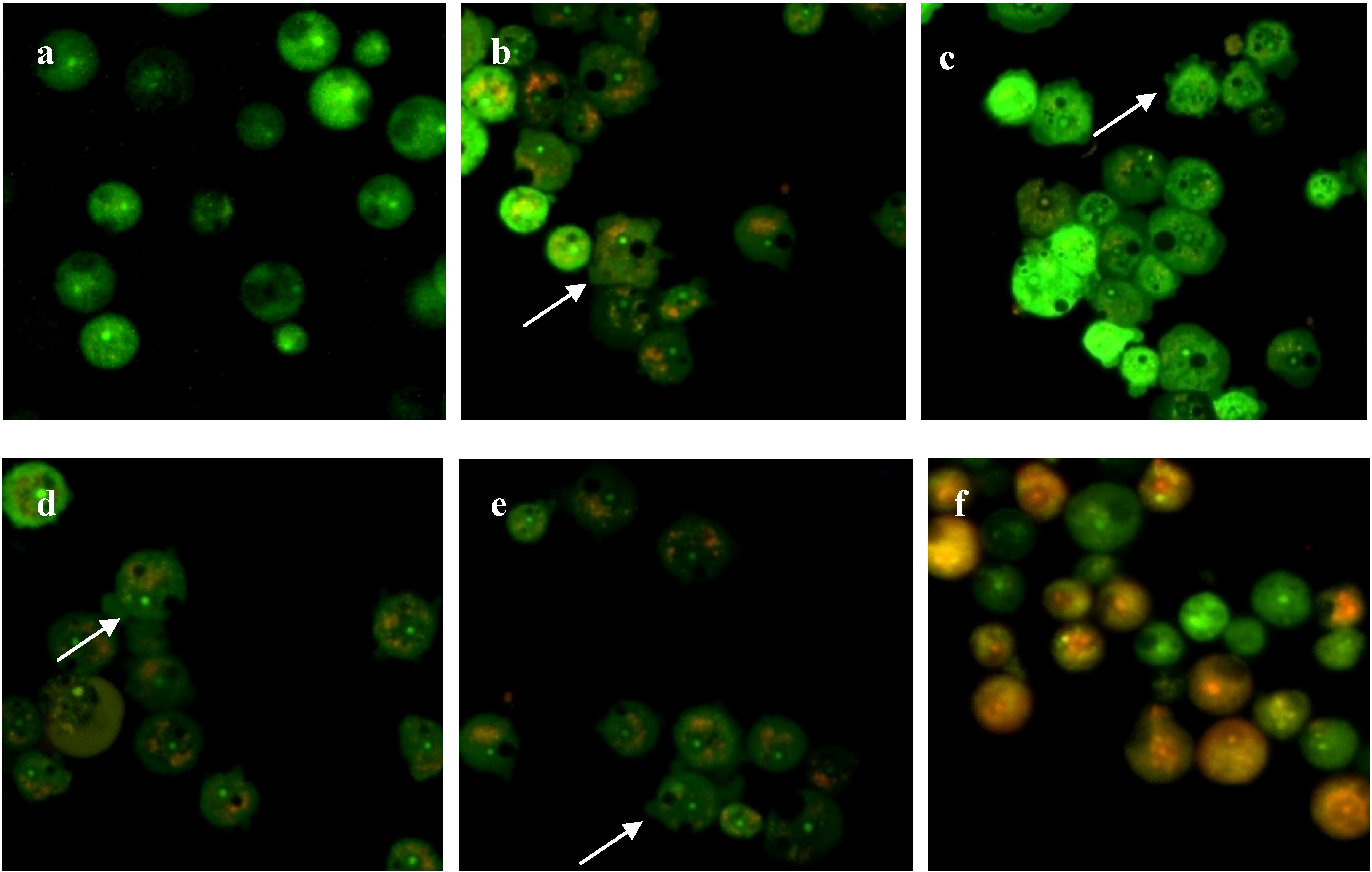 Molecules 19 05191 g003