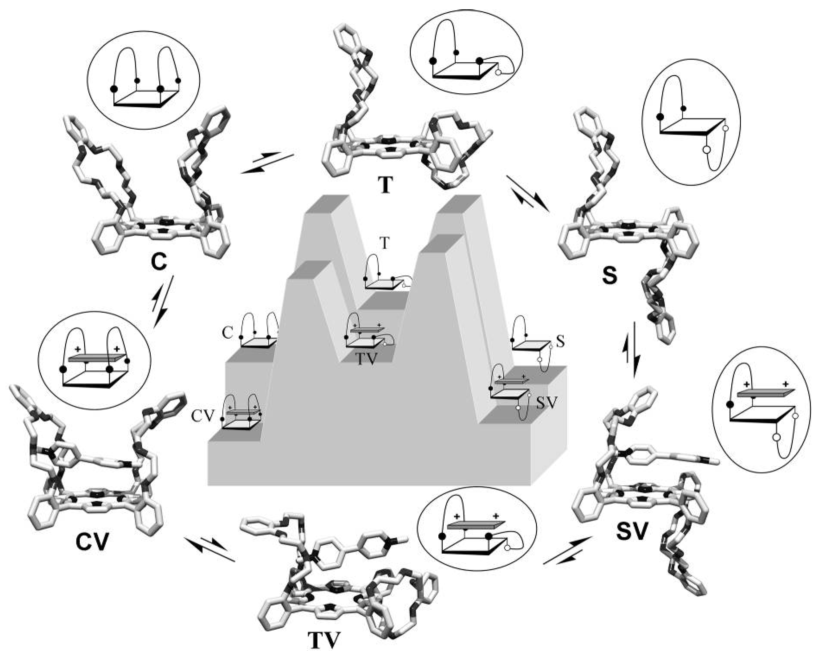 Molecules 19 05278 g010 550