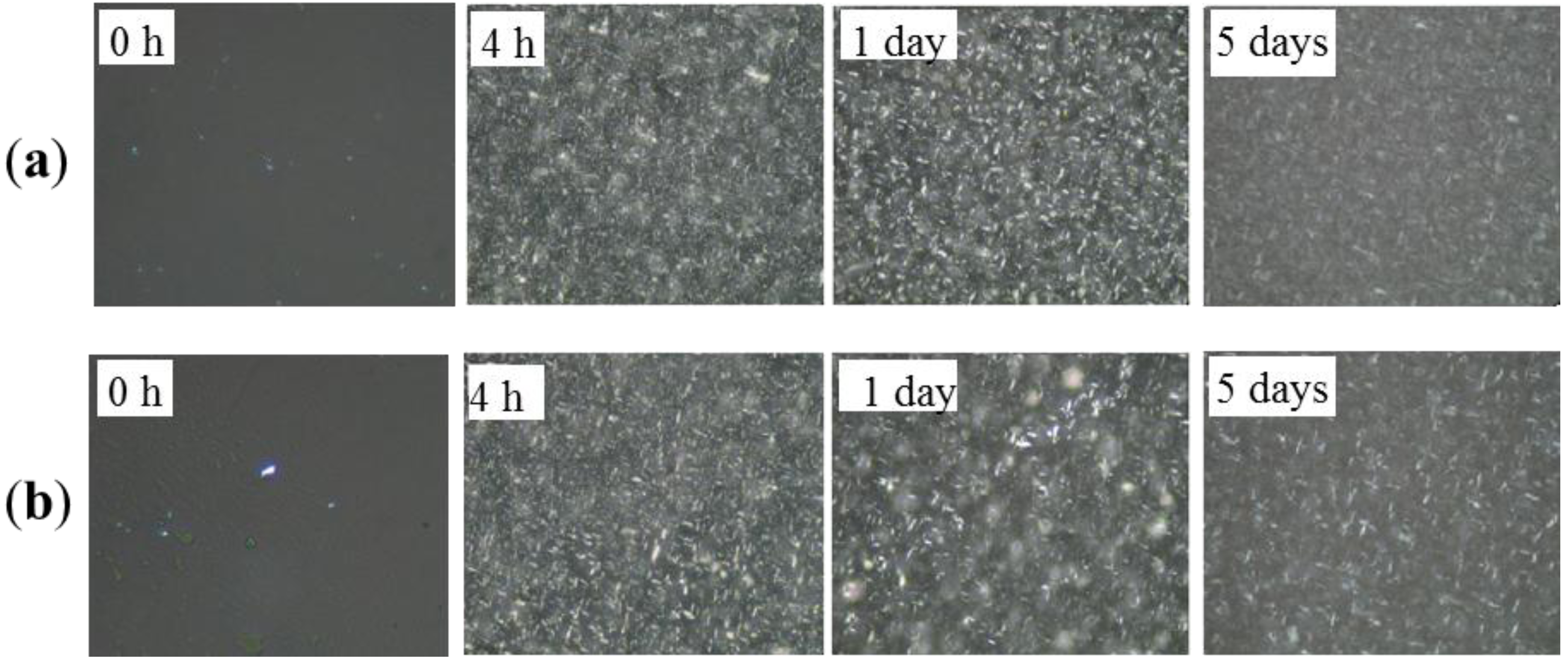 Molecules 19 05348 g003 550