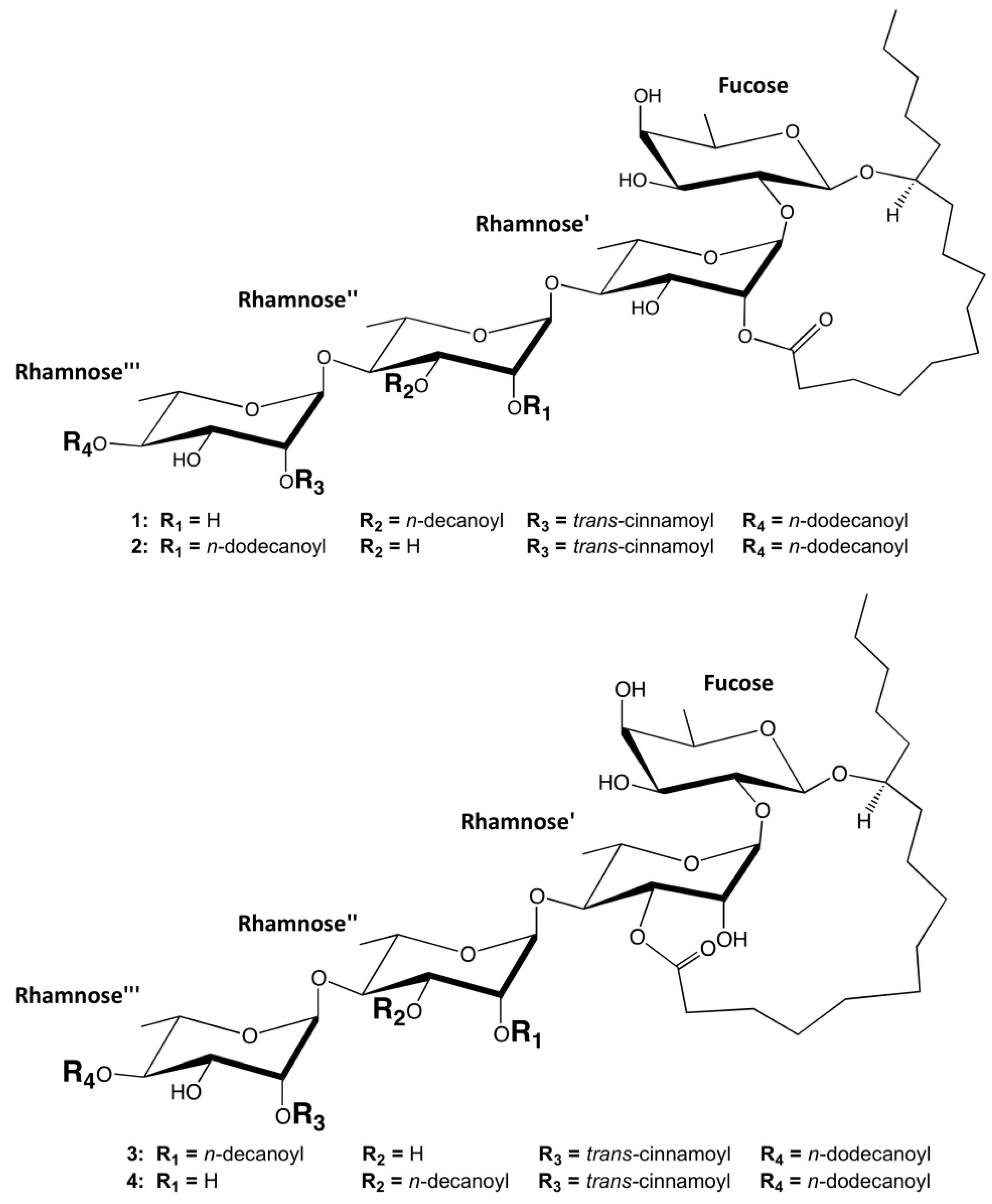 Molecules 19 05421 g001