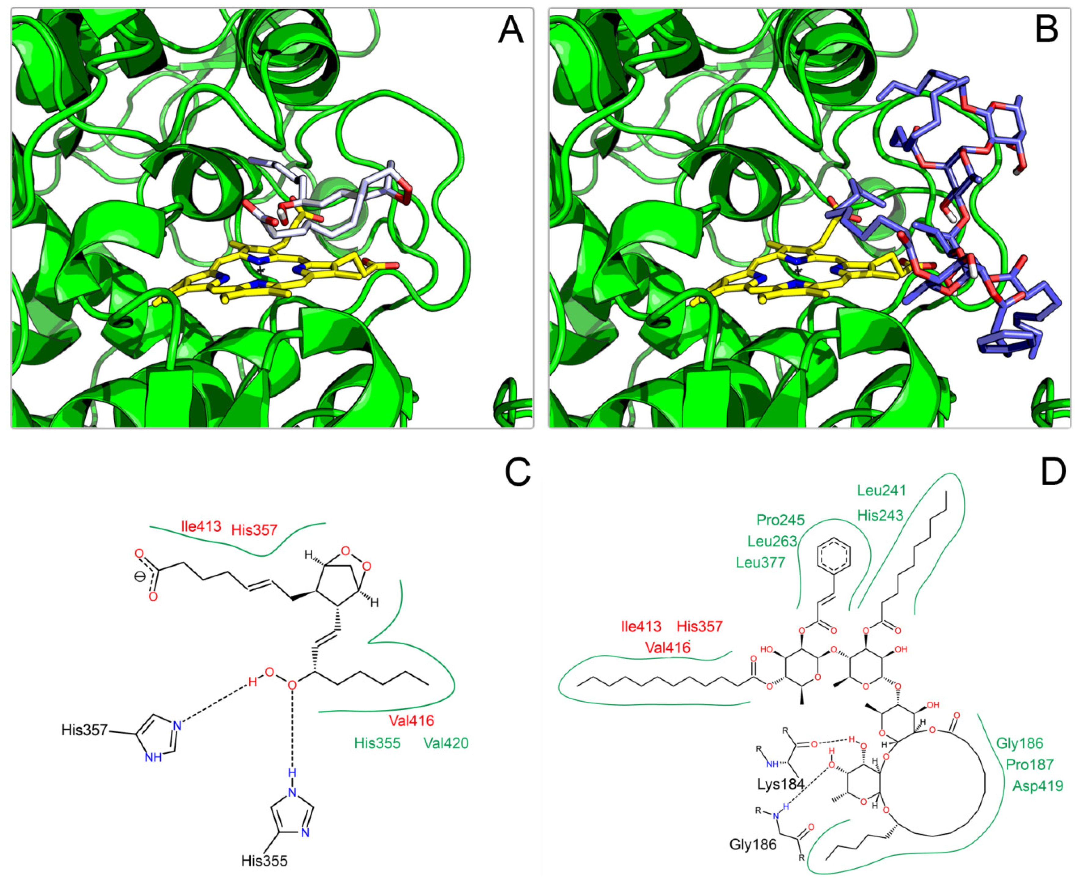 Molecules 19 05421 g004