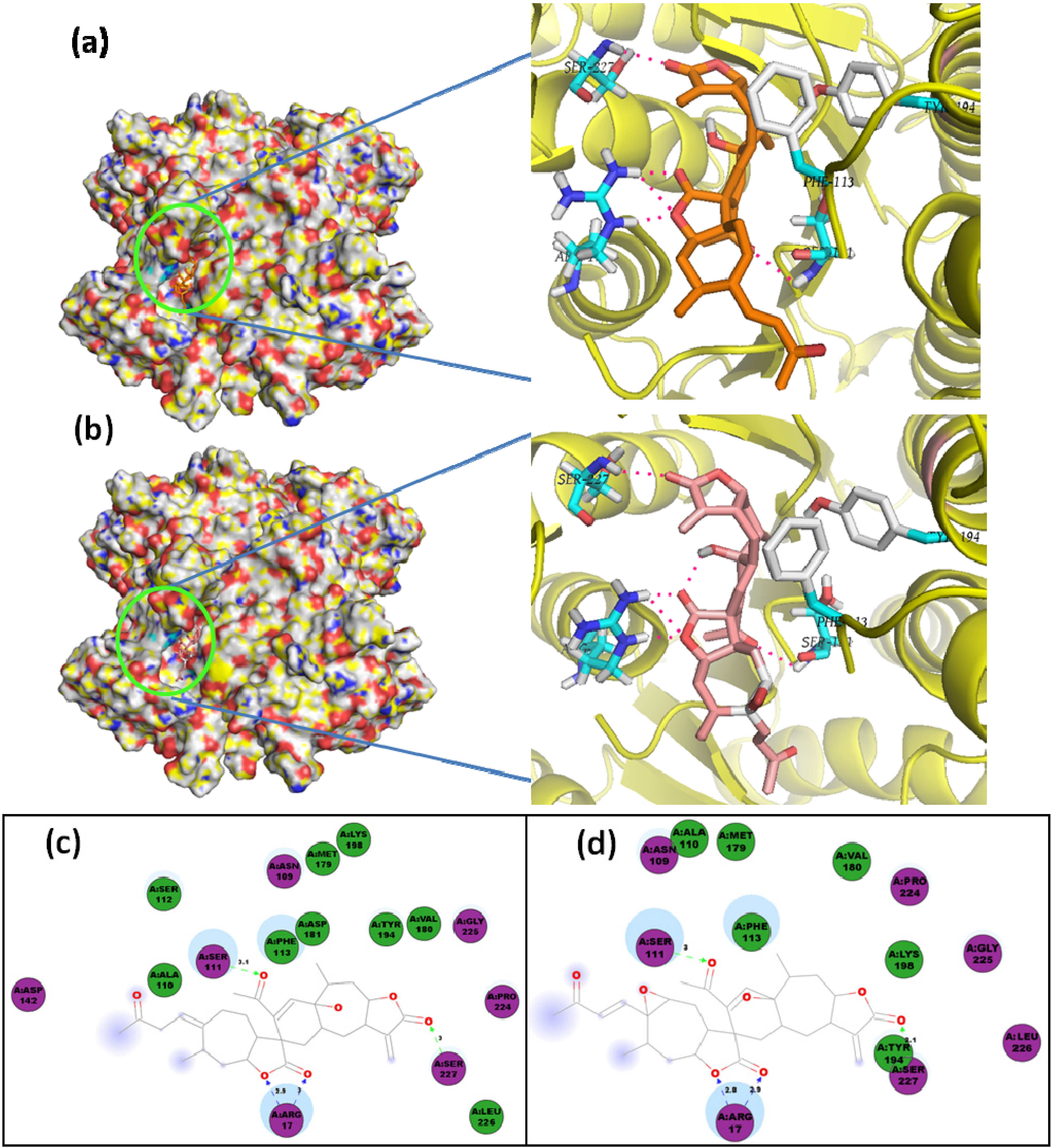 Molecules 19 05550 g010