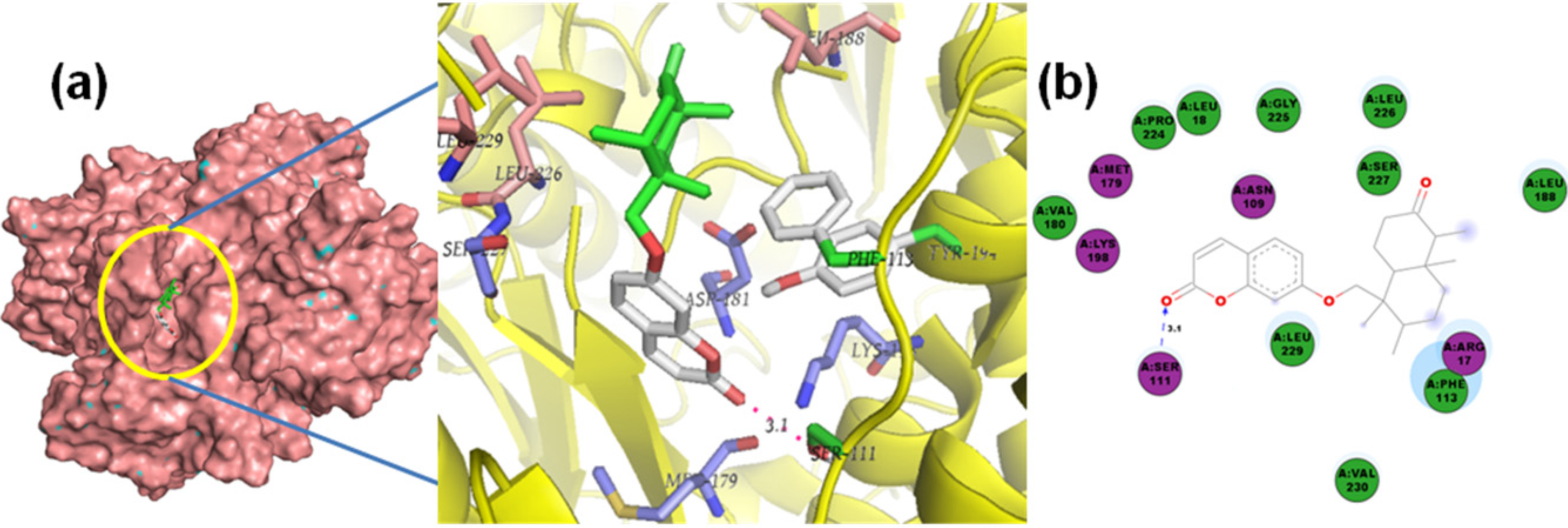 Molecules 19 05550 g011