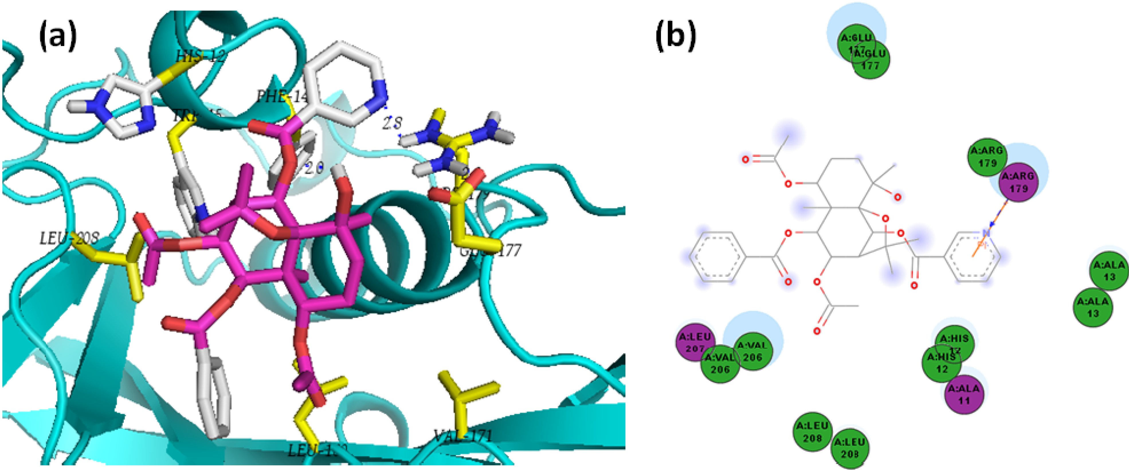 Molecules 19 05550 g014