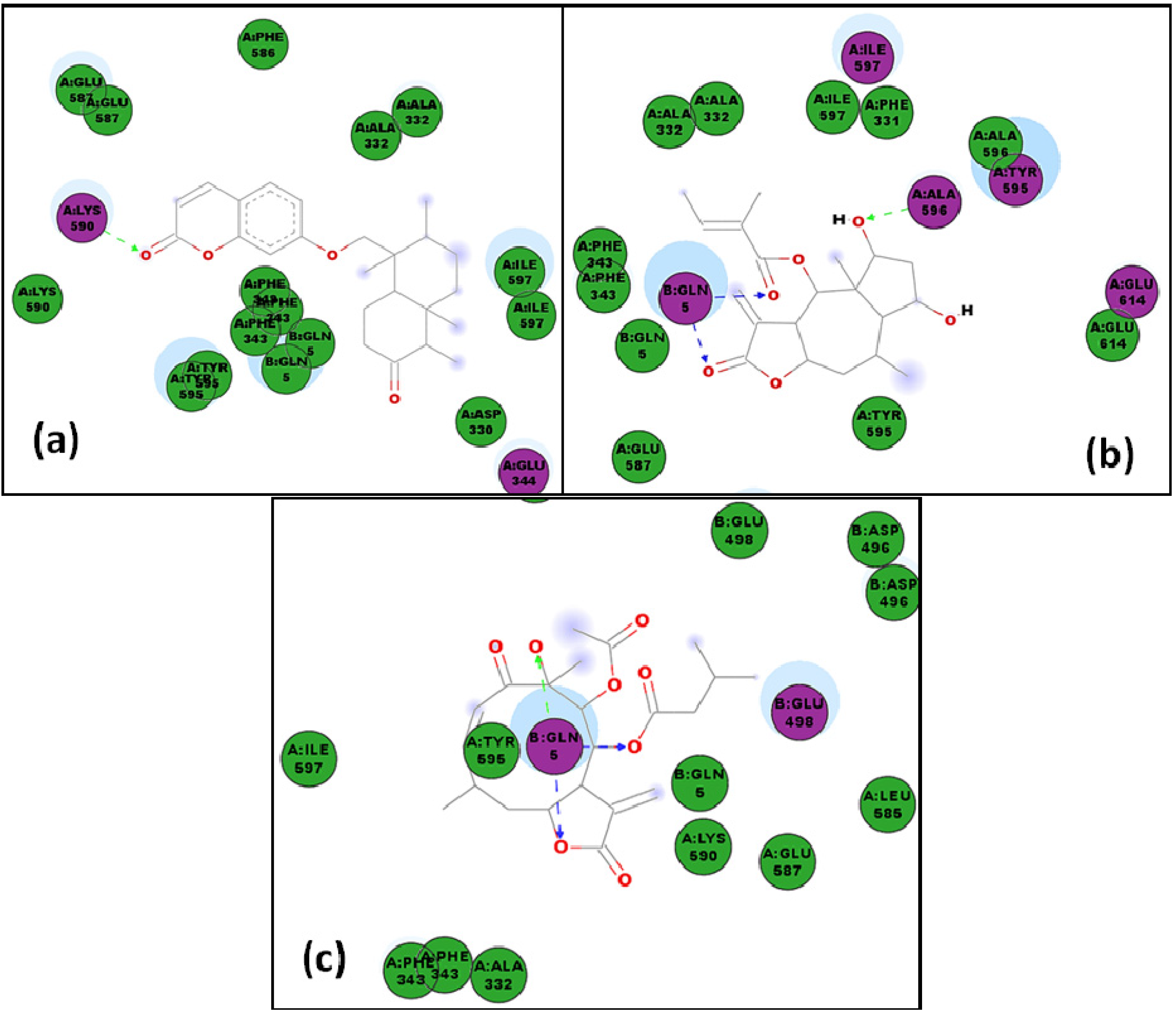 Molecules 19 05550 g015