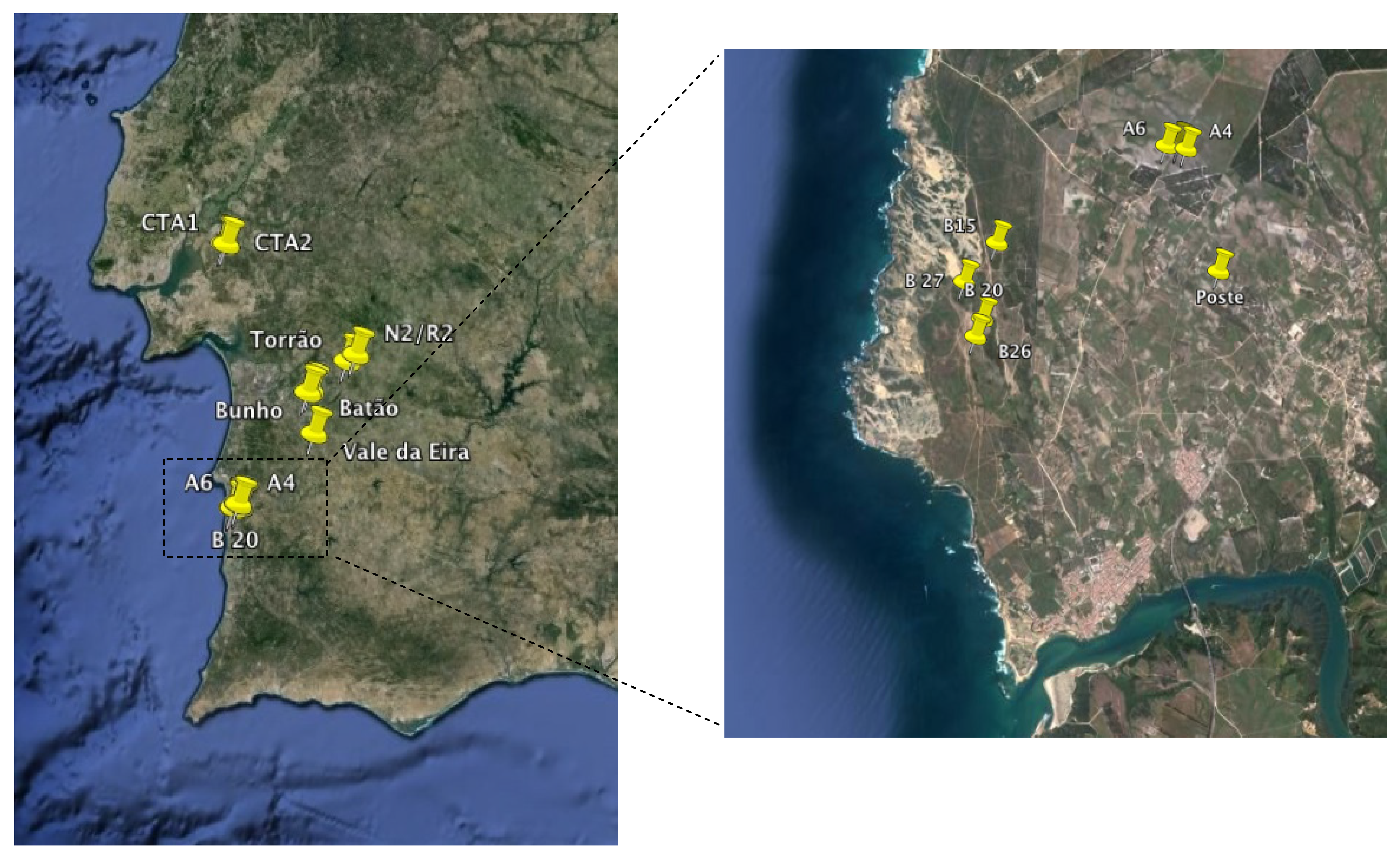 Molecules 19 05570 g001