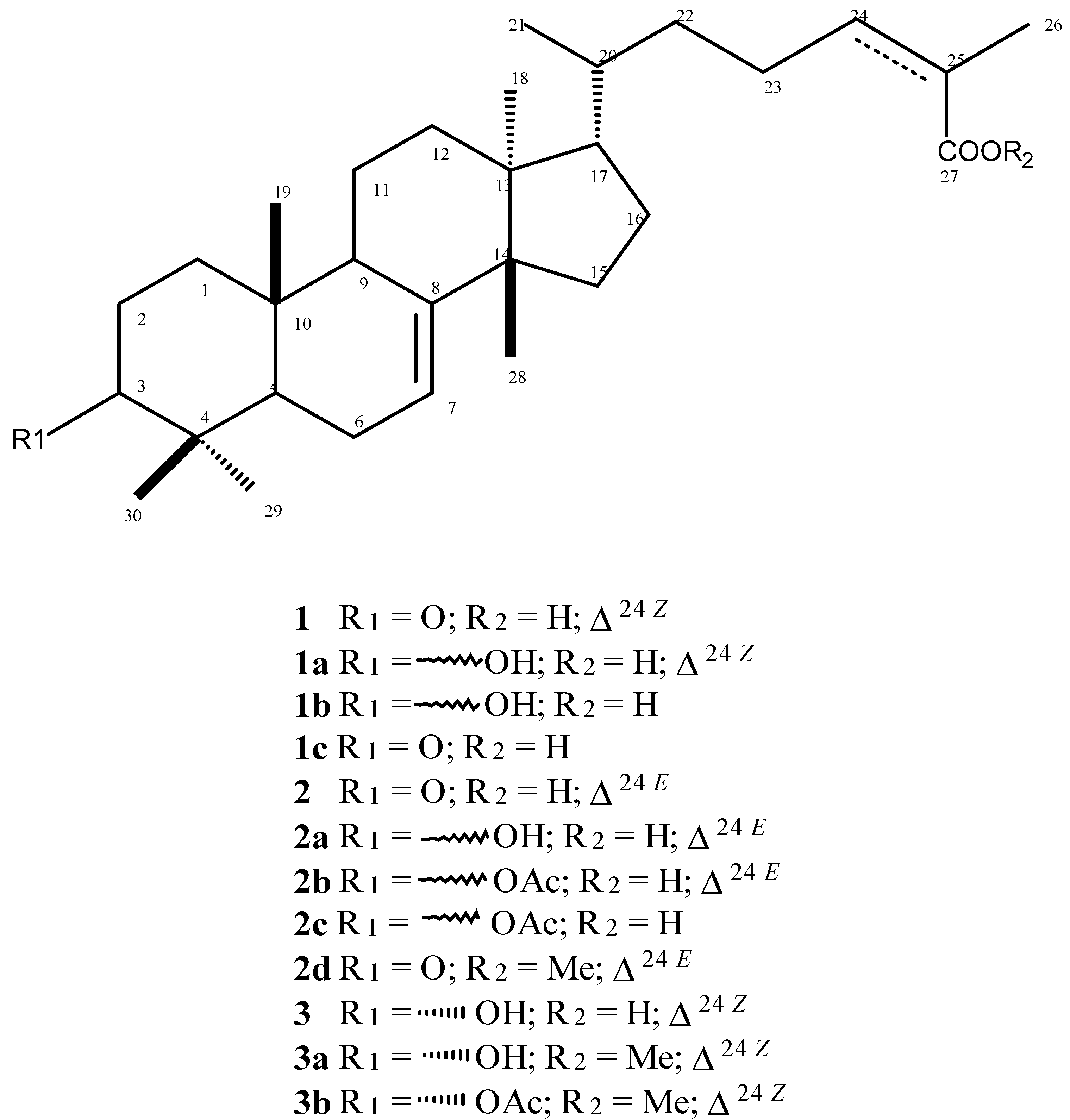Molecules 19 05761 g001