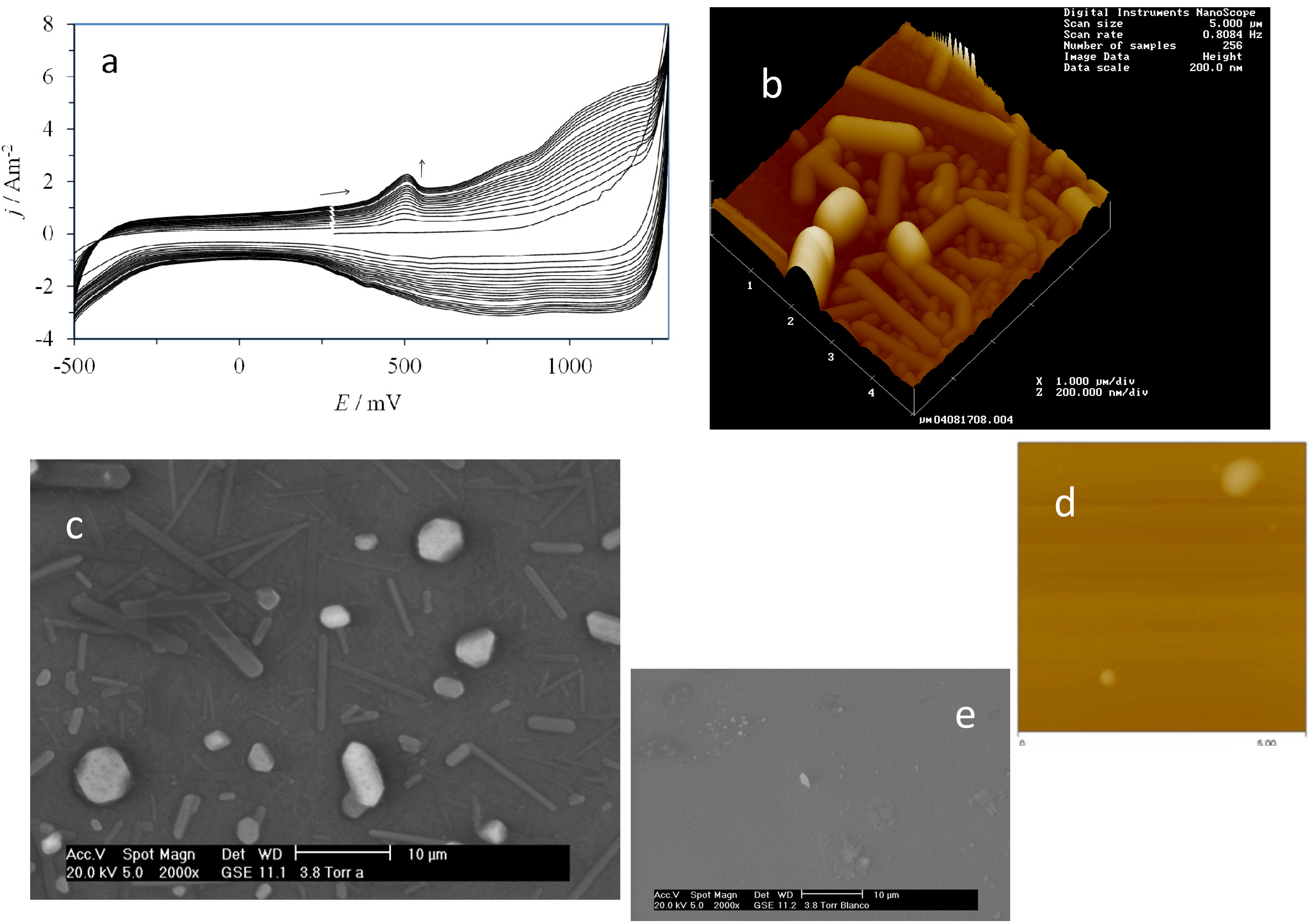 Molecules 19 05952 g003