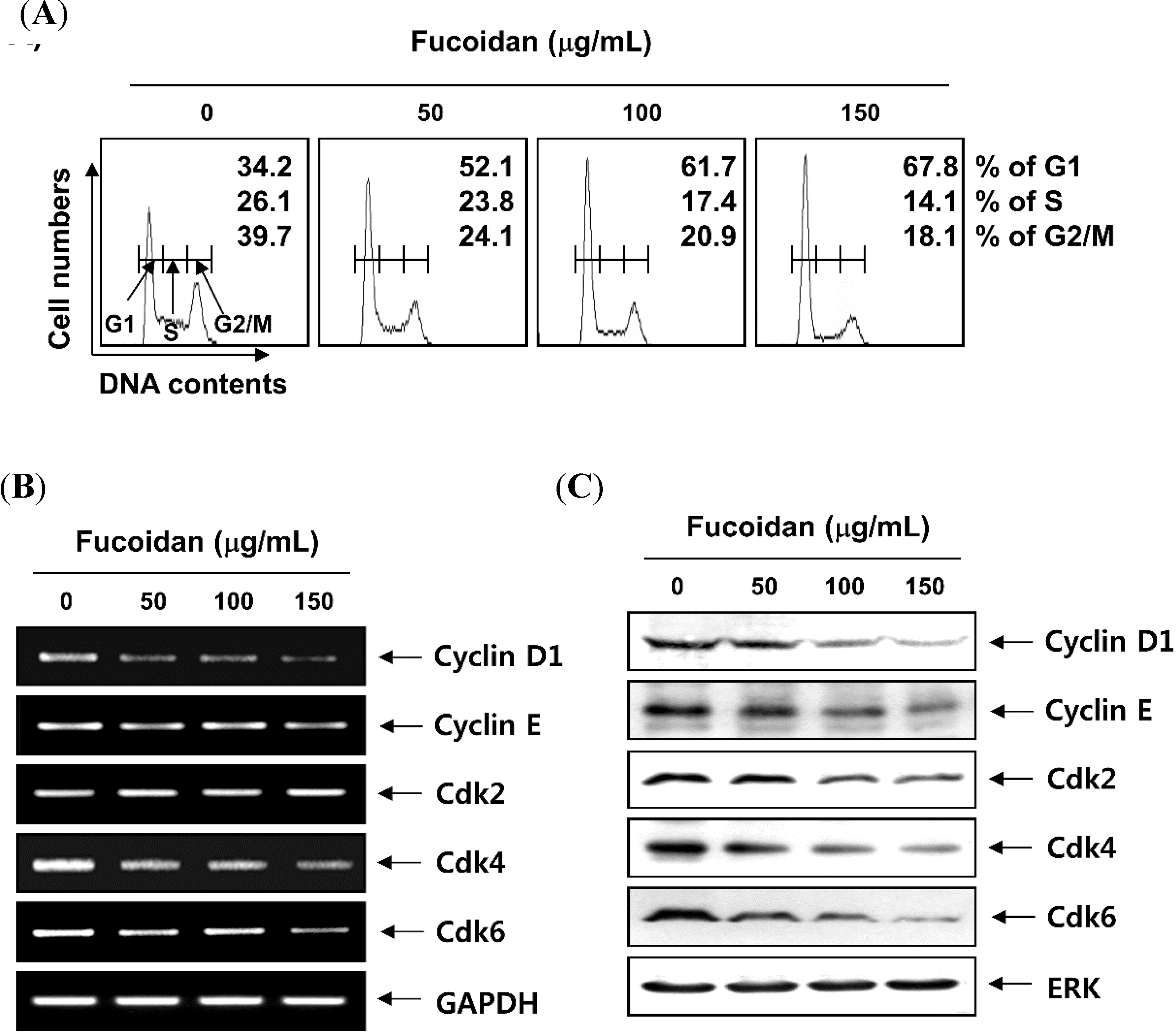 Molecules 19 05981 g003