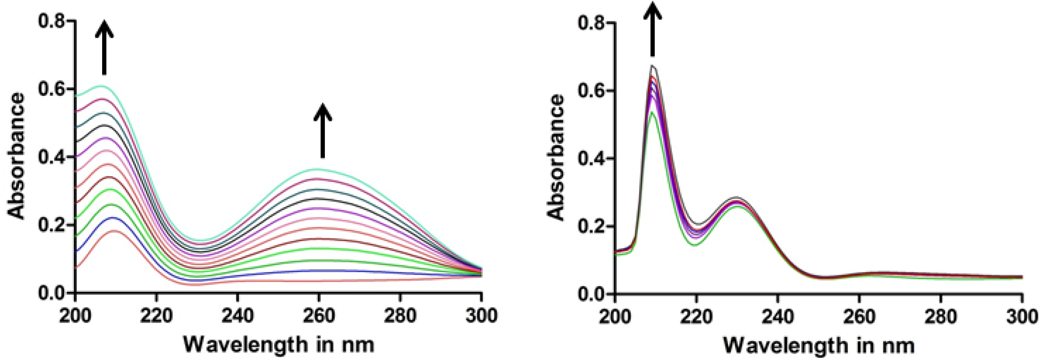 Molecules 19 06031 g008