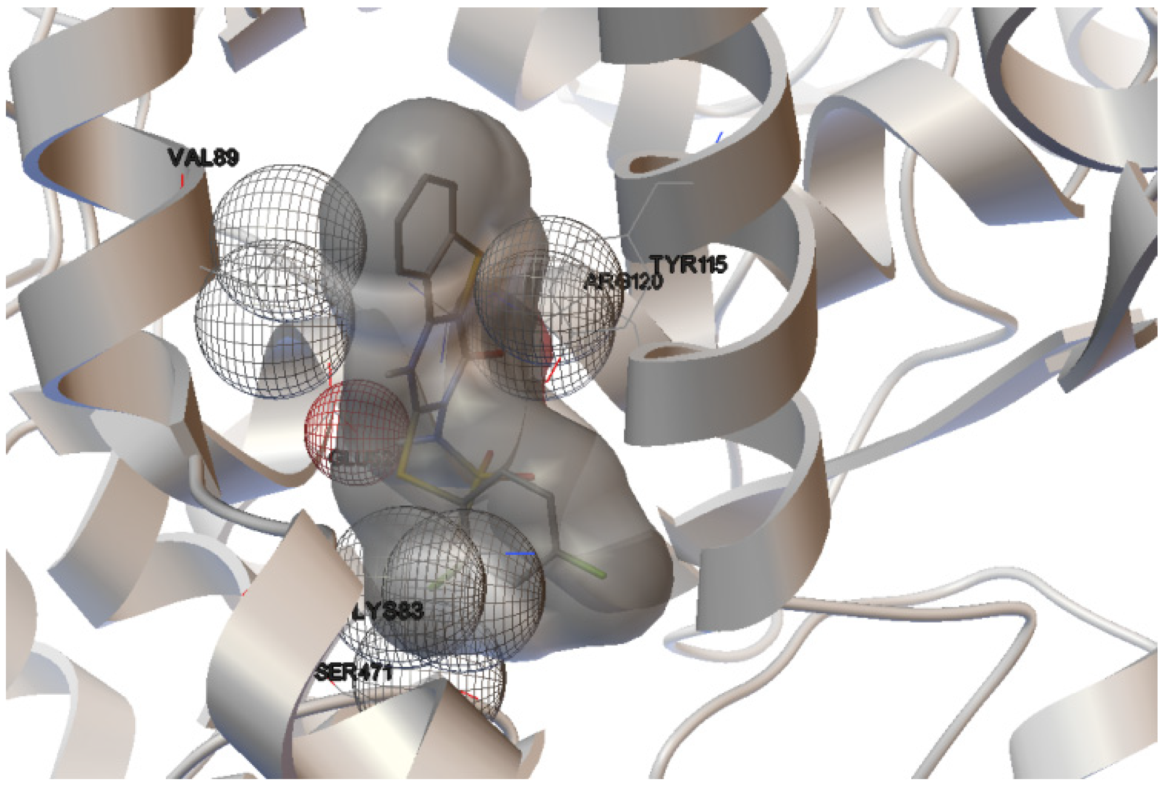 Molecules 19 06106 g005