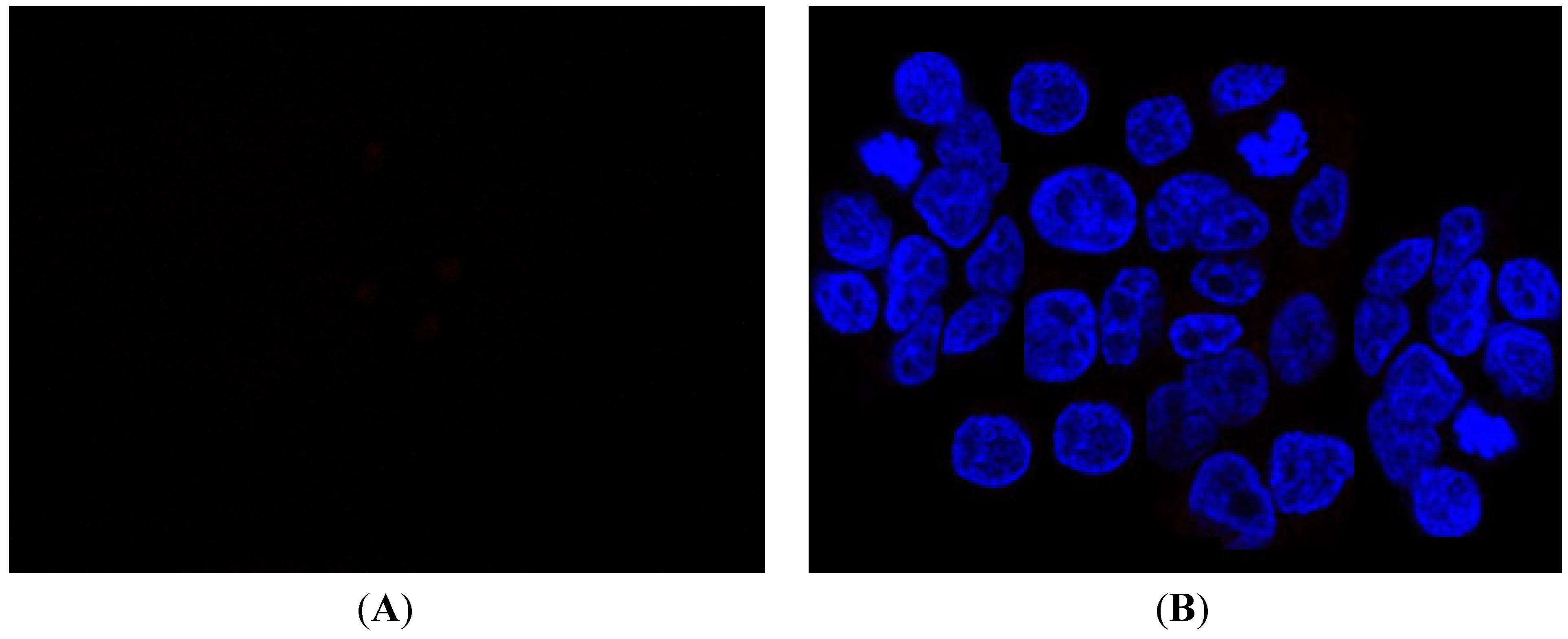 Molecules 19 06106 g011