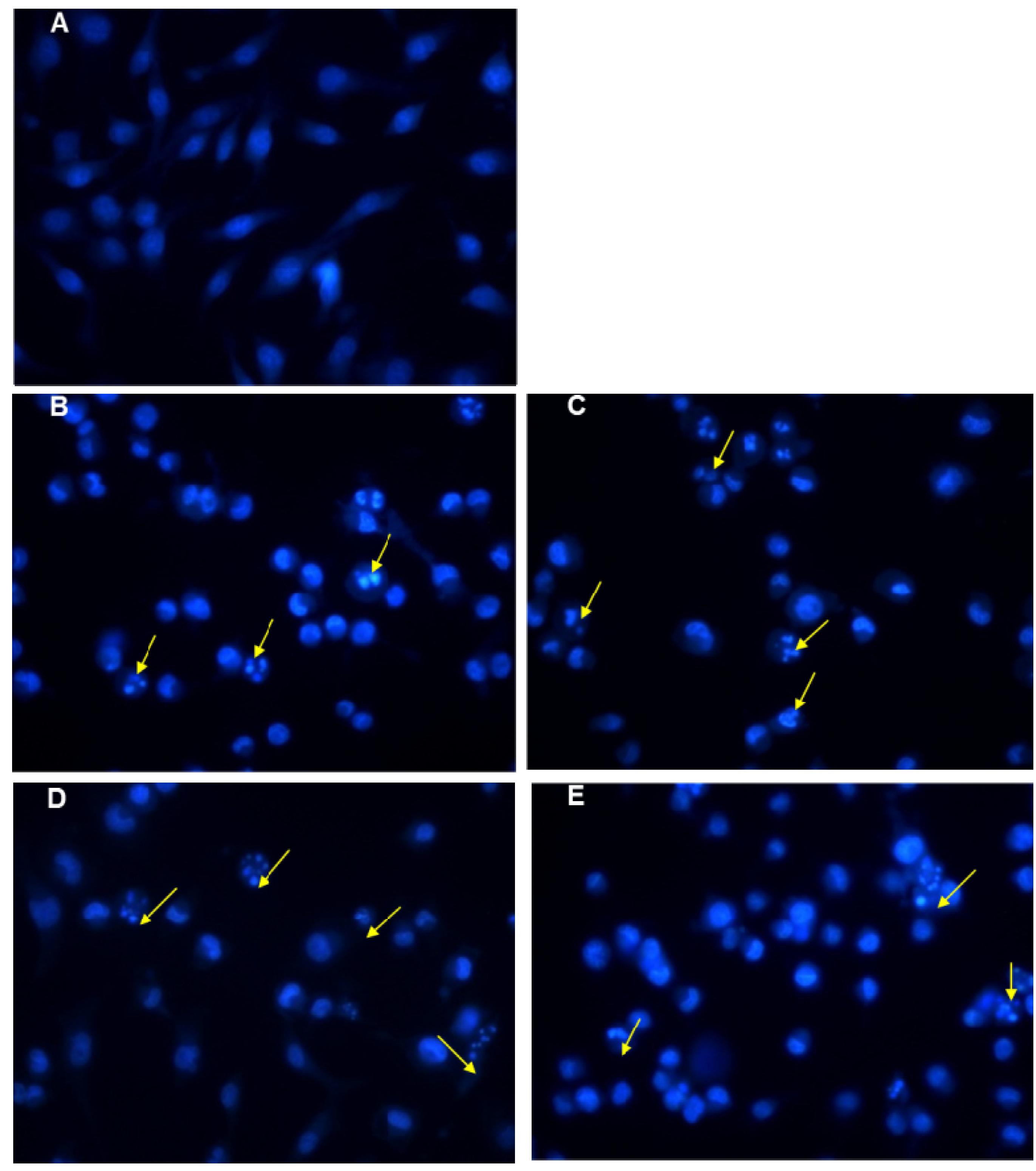 Molecules 19 06142 g003