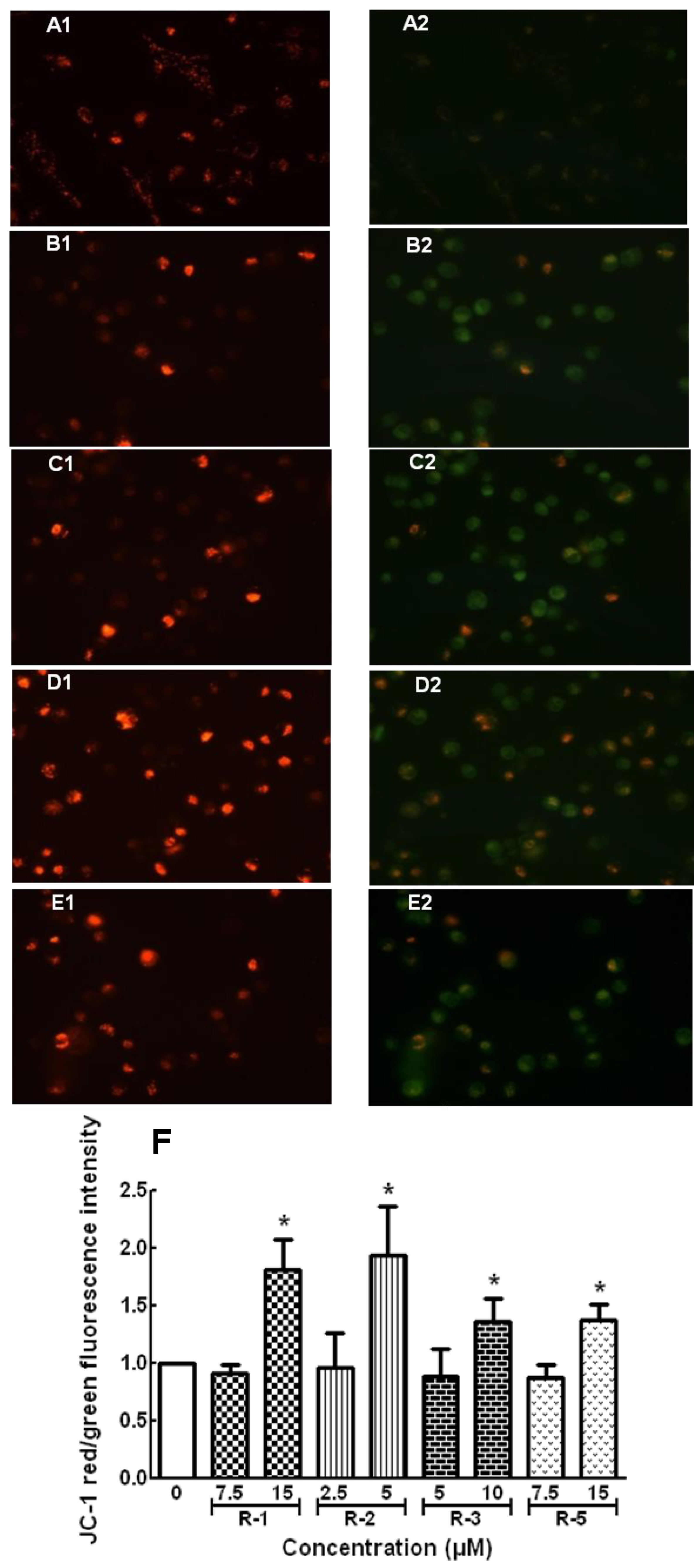 Molecules 19 06142 g004