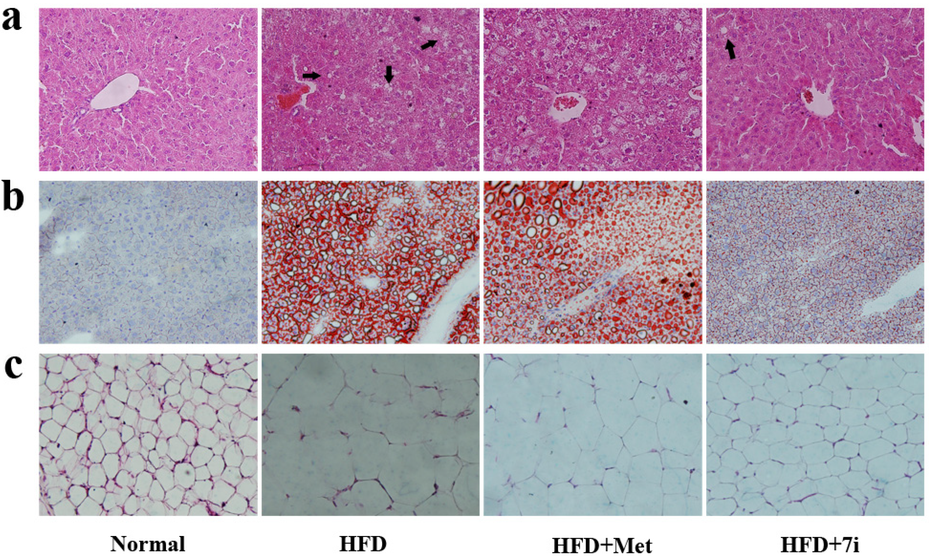 Molecules 19 06163 g004