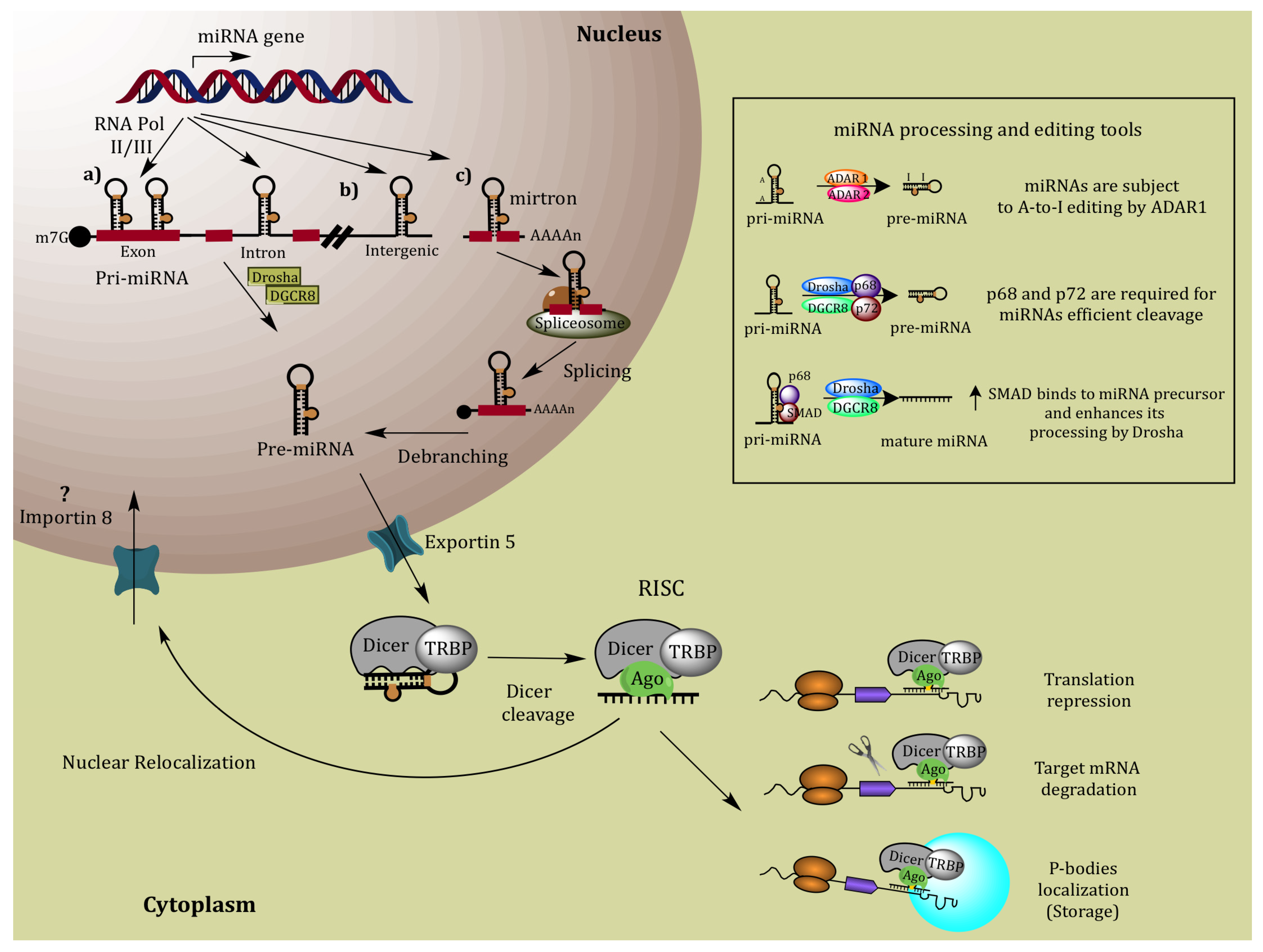 Molecules 19 06263 g002