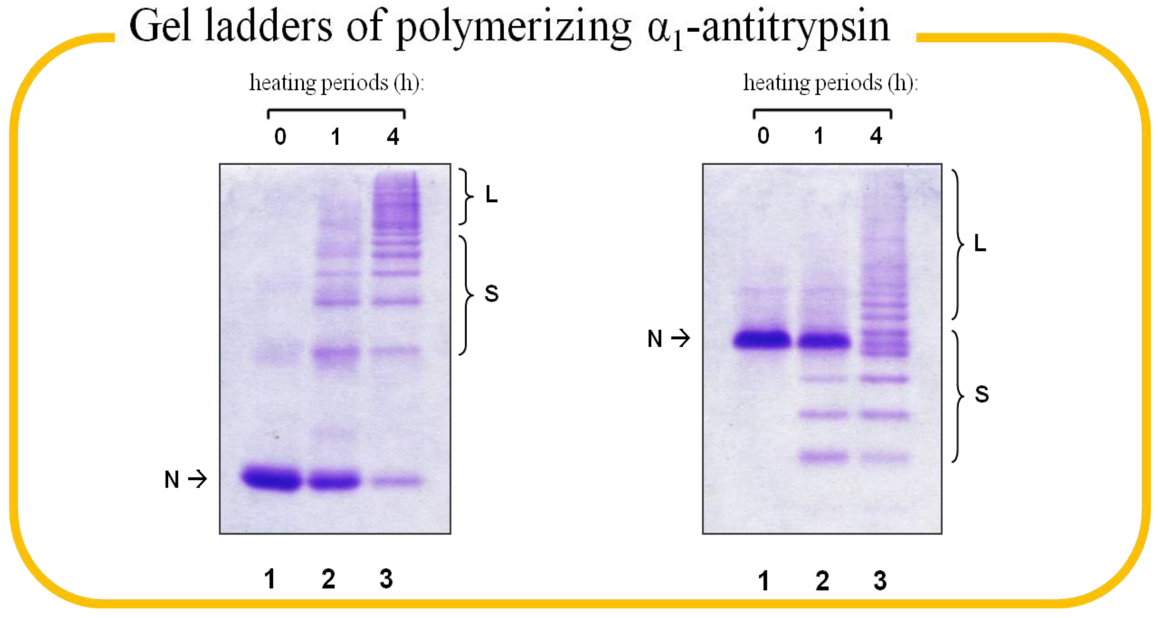 Molecules 19 06330 g003