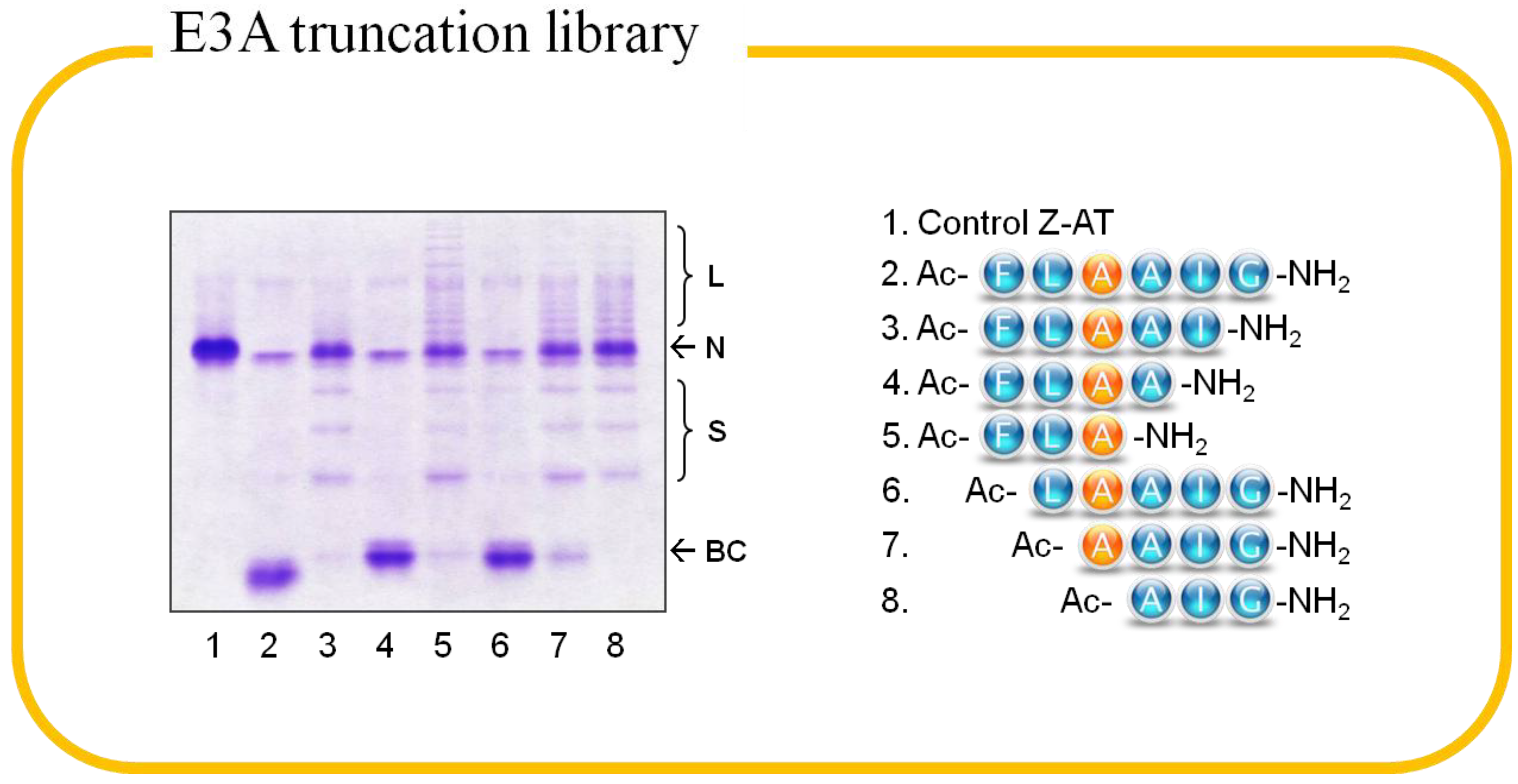 Molecules 19 06330 g005
