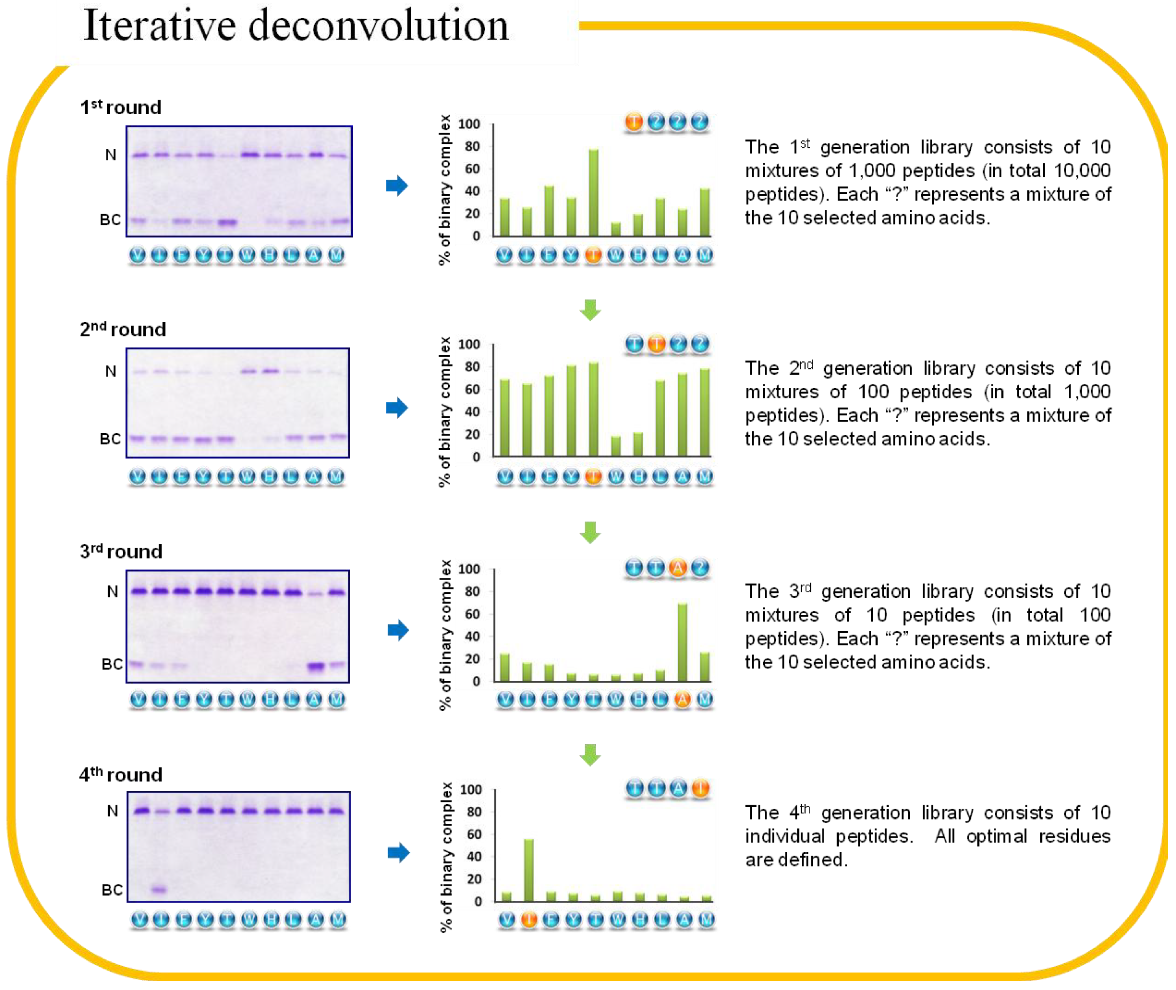 Molecules 19 06330 g007