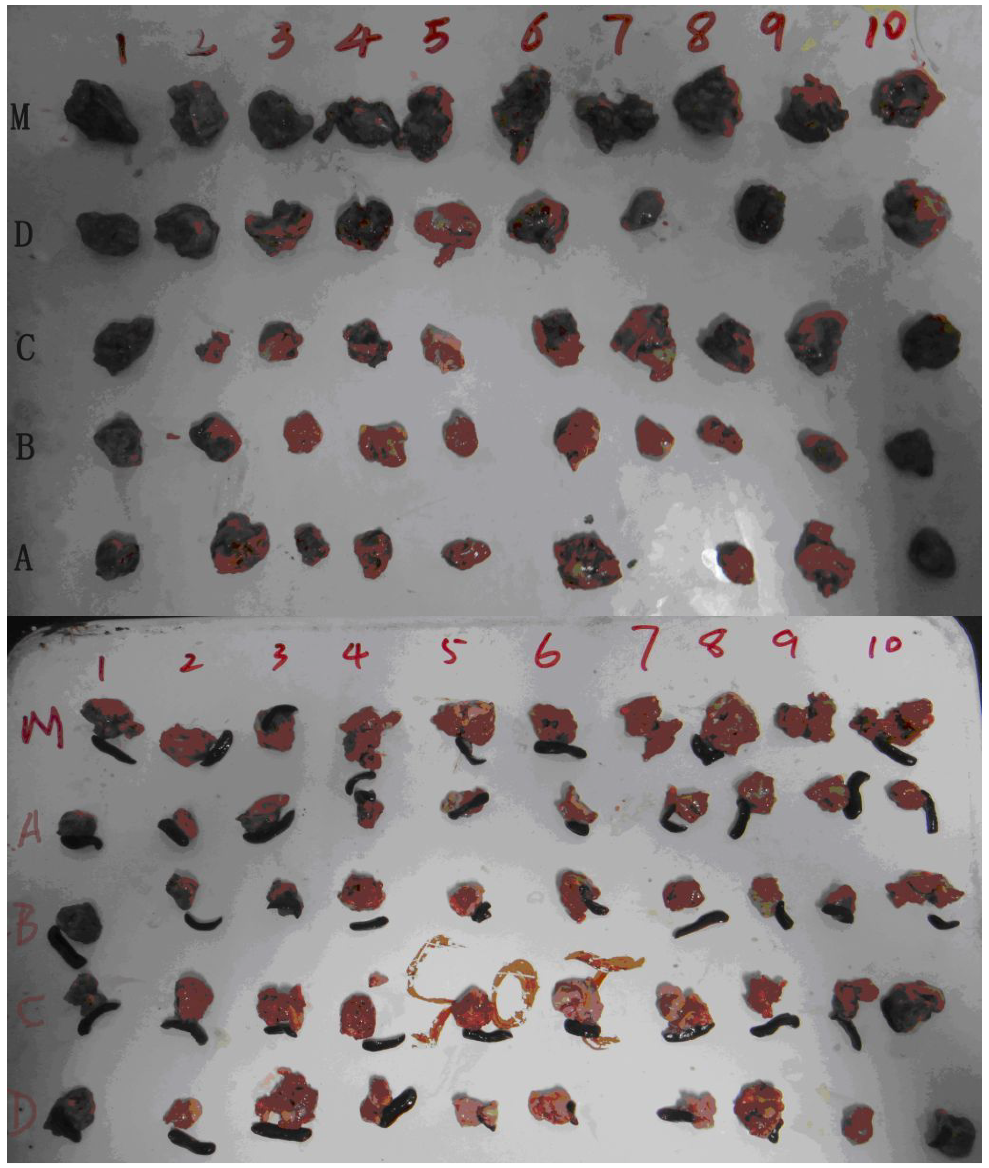 Molecules 19 06368 g003 550