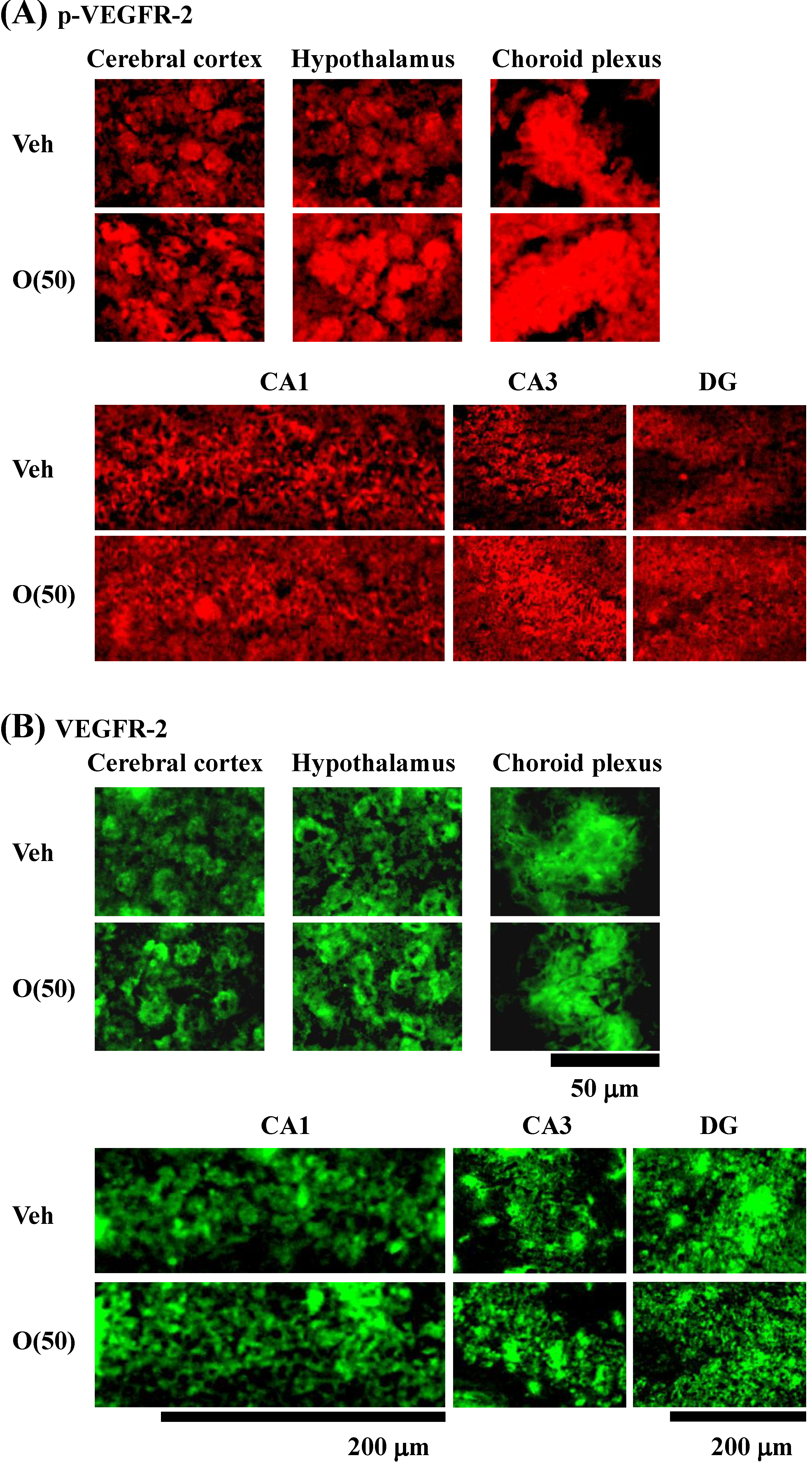 Molecules 19 06707 g010 550