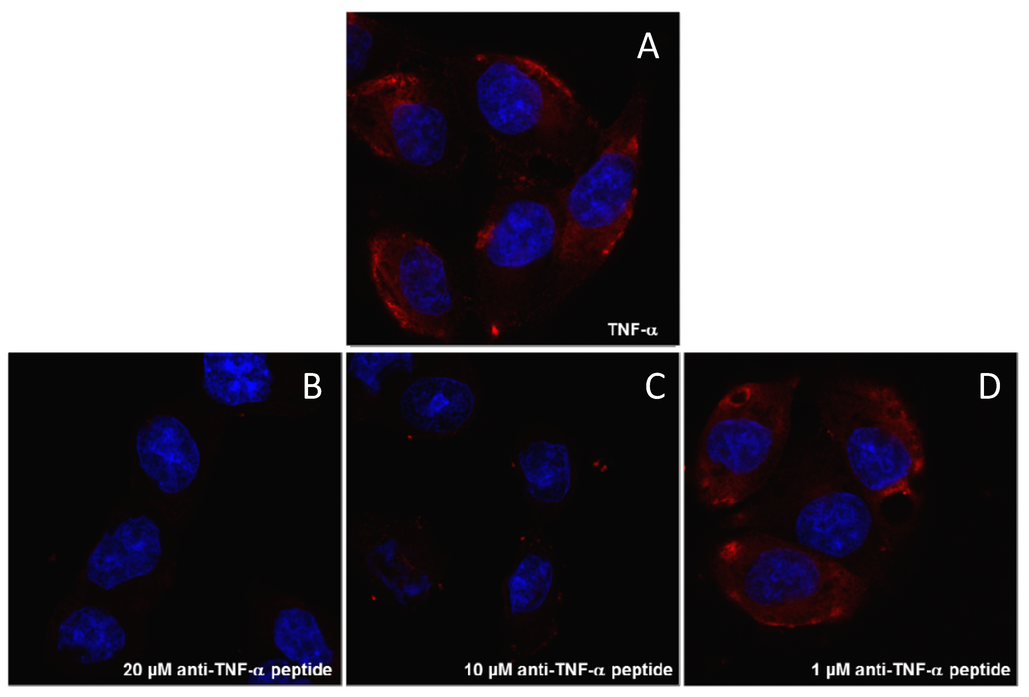 Molecules 19 07255 g005