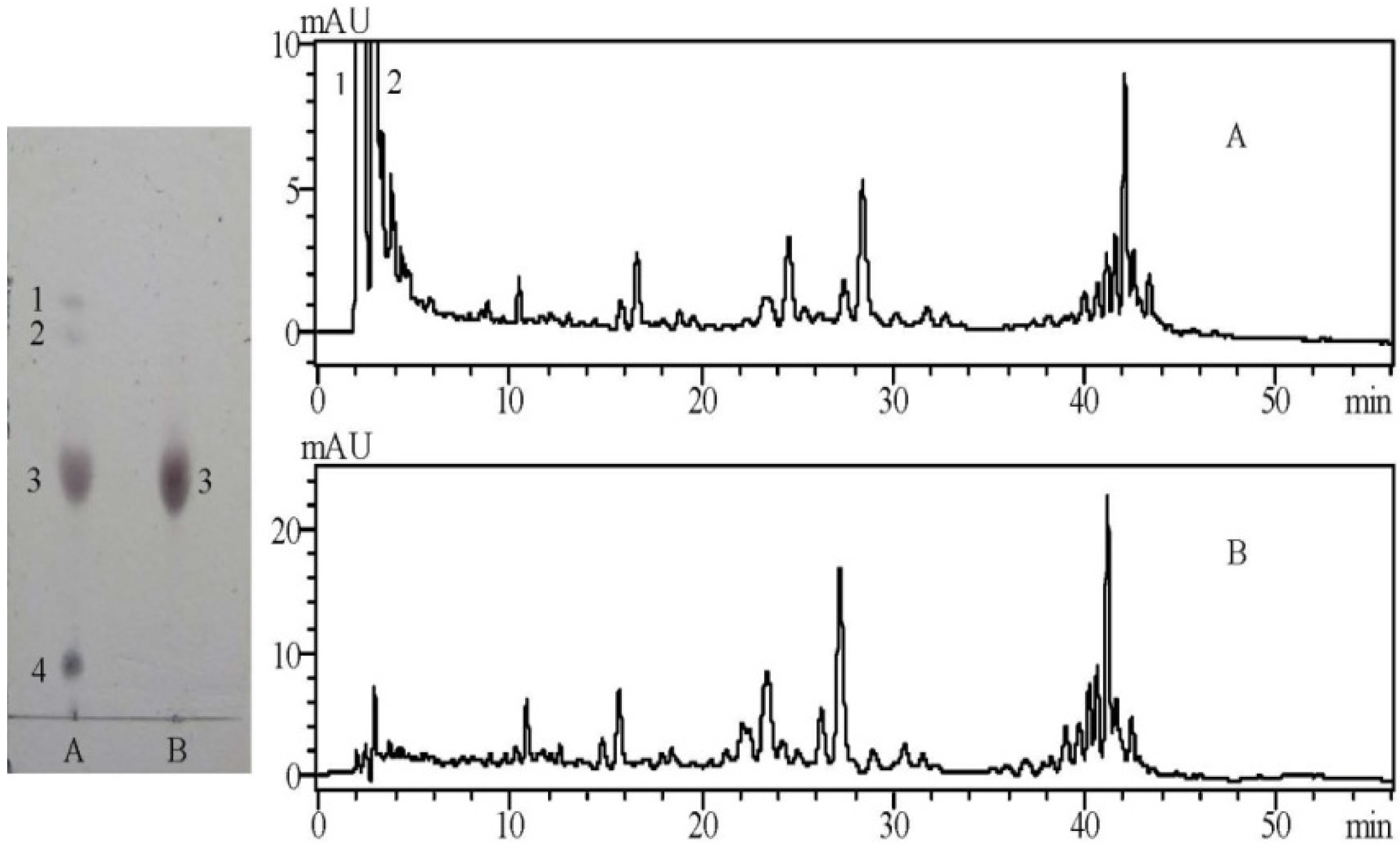 Molecules 19 07568 g001