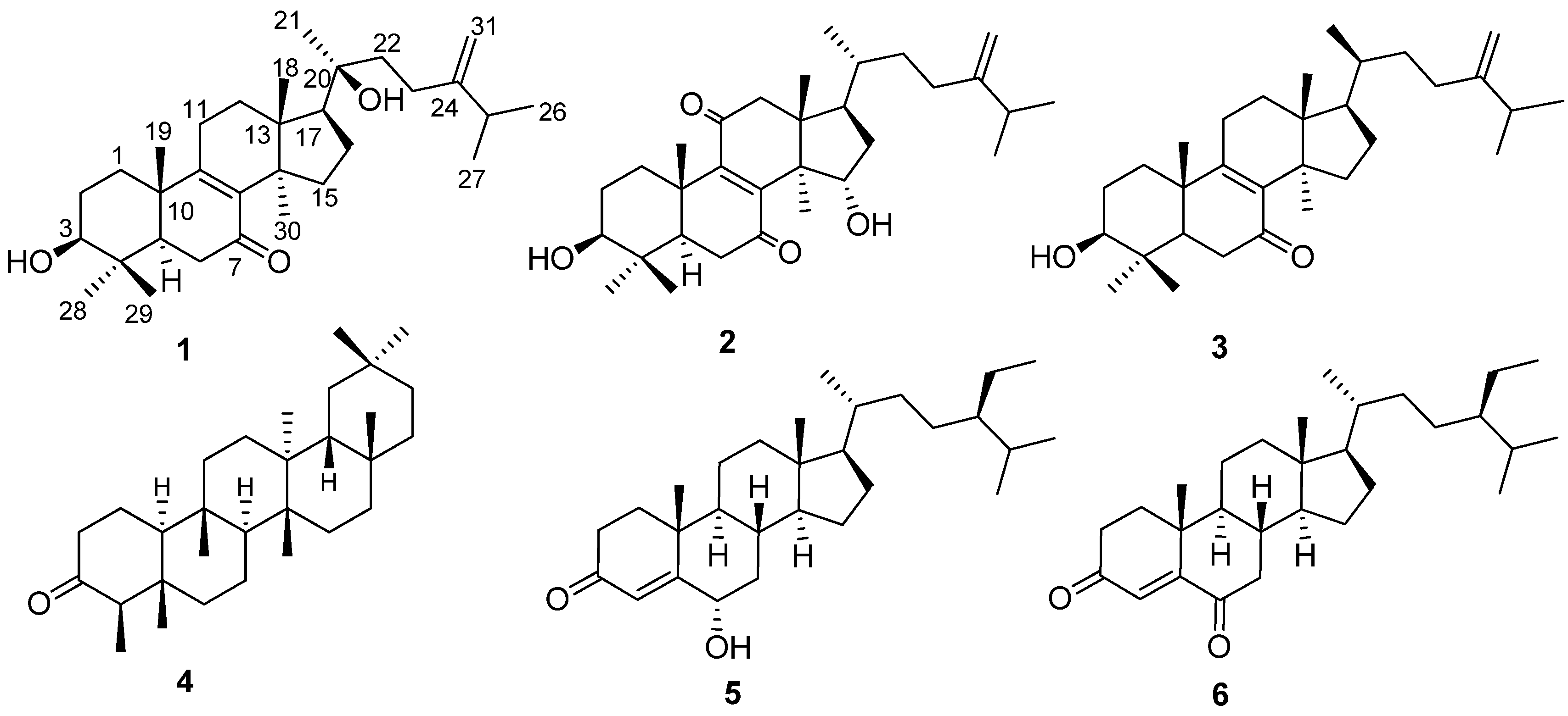 Molecules 19 07621 g001