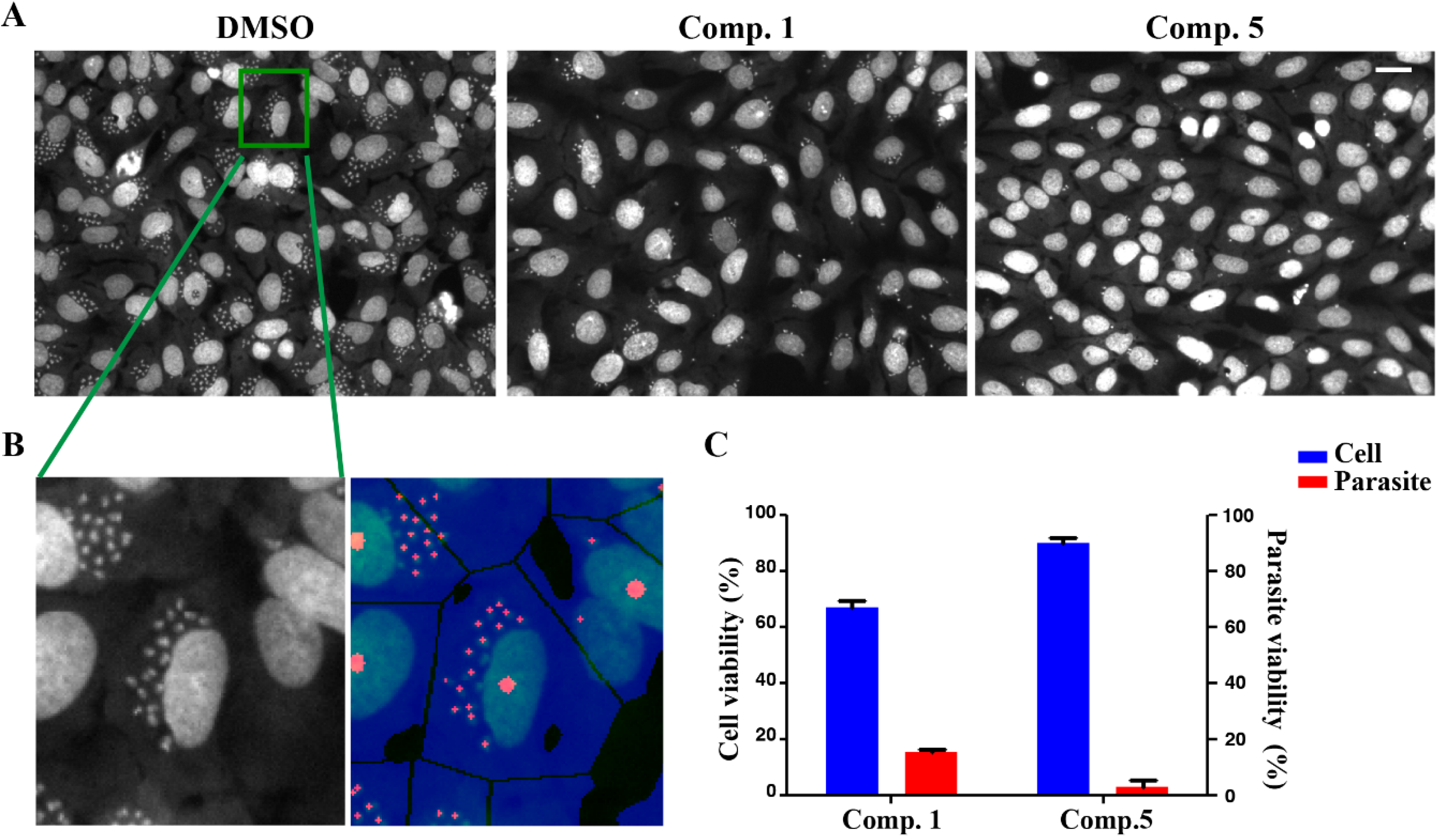 Molecules 19 07869 g004
