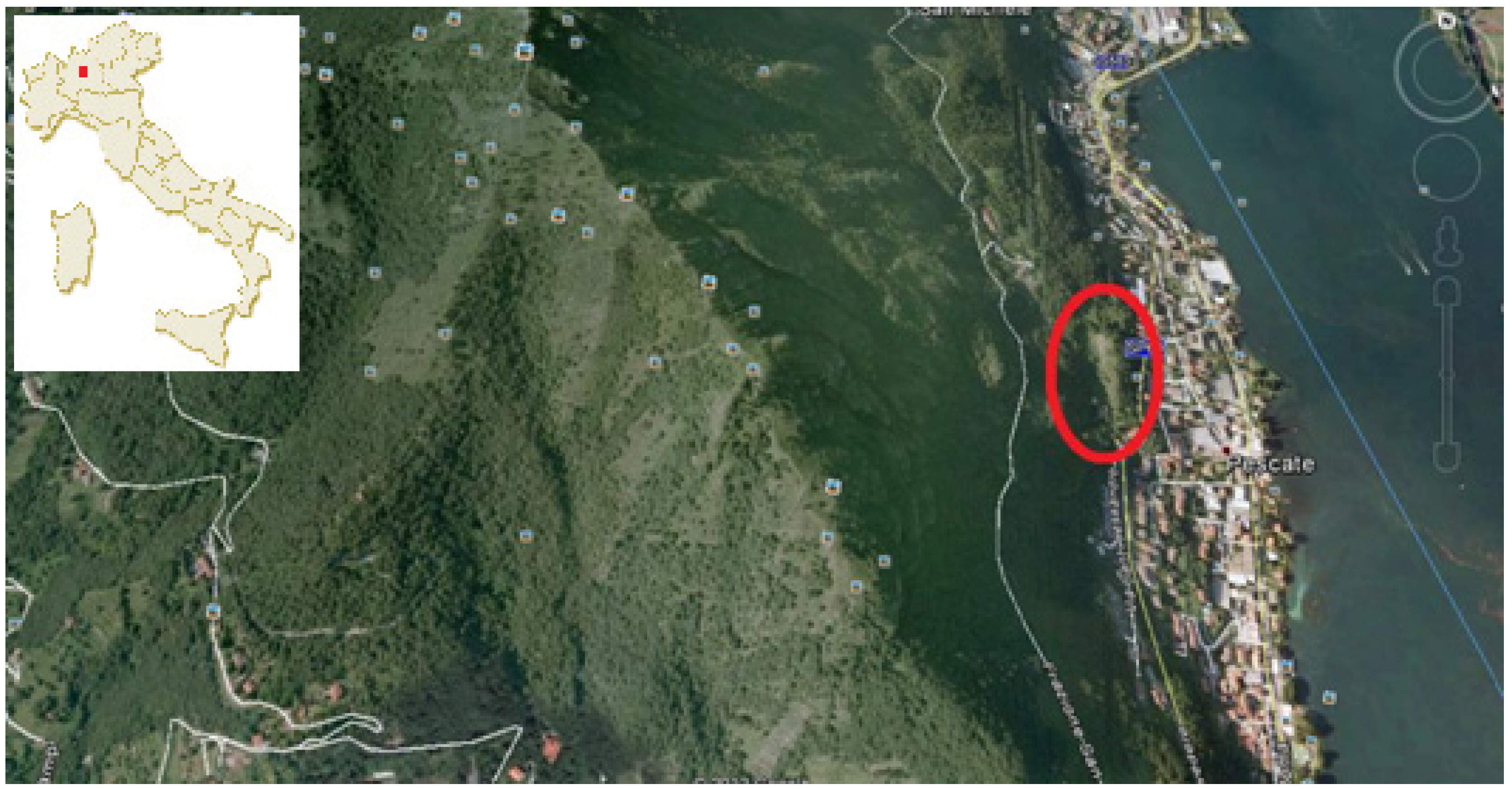 Molecules 19 07913 g003