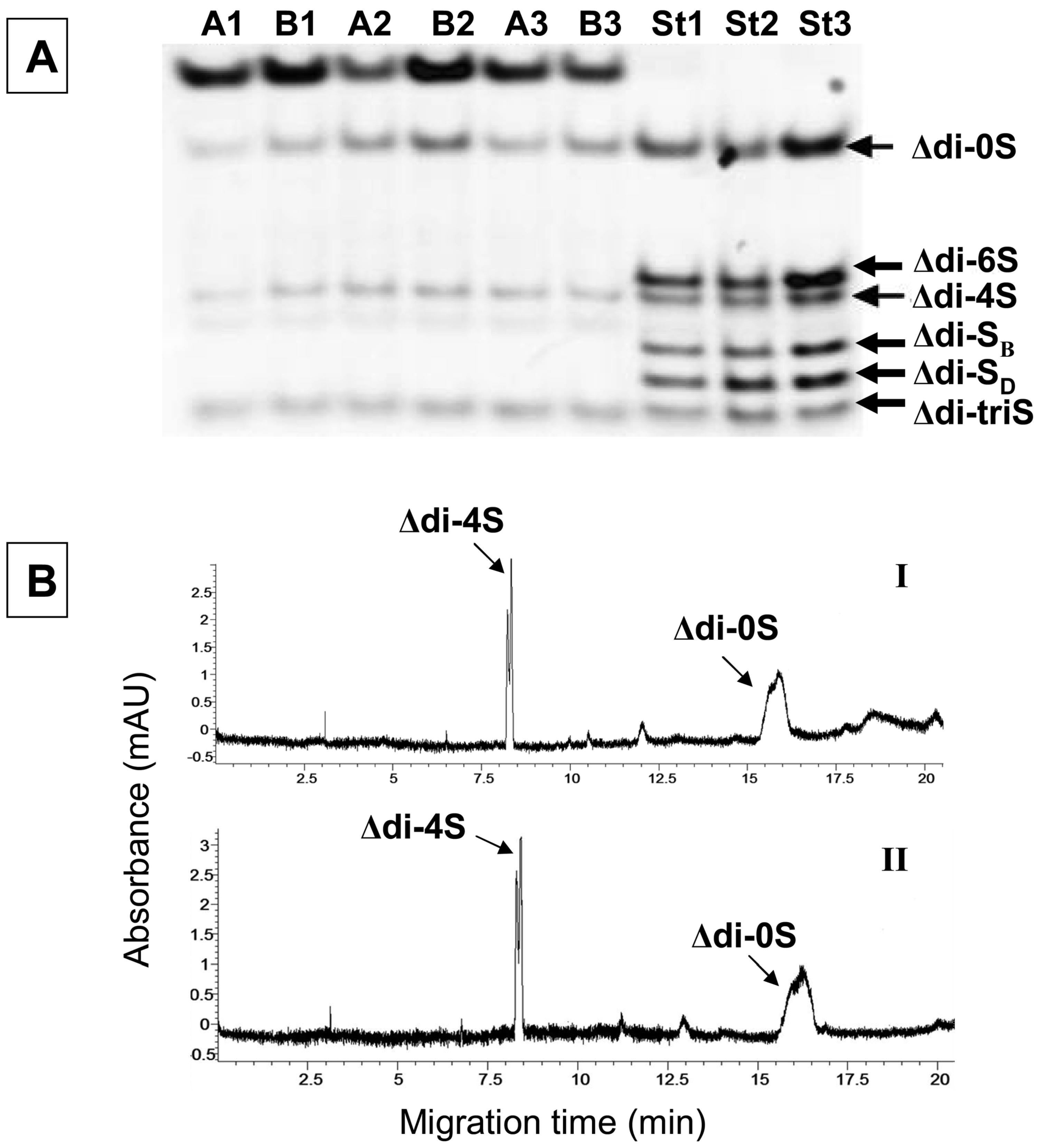 Molecules 19 07959 g003