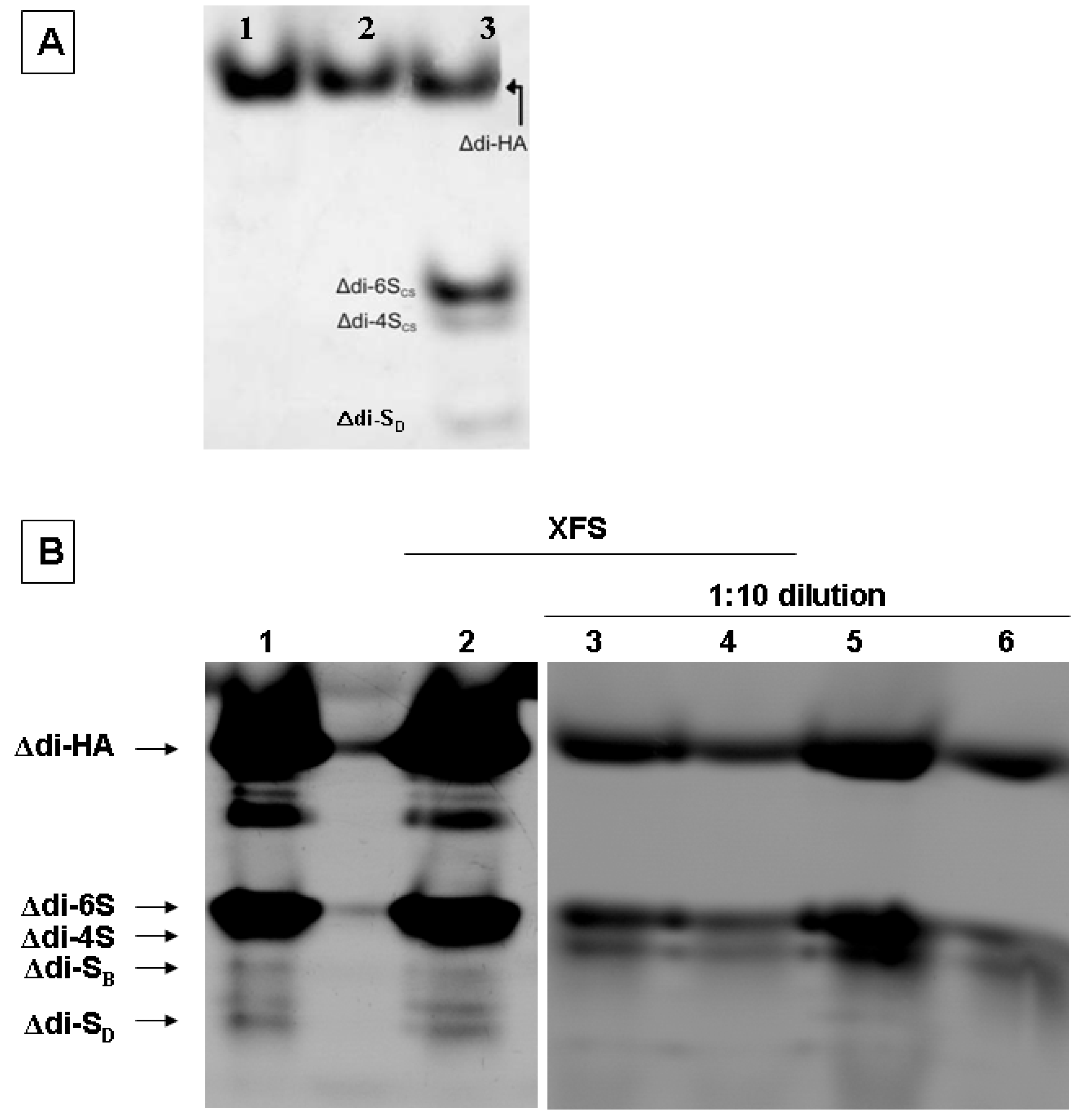 Molecules 19 07959 g004