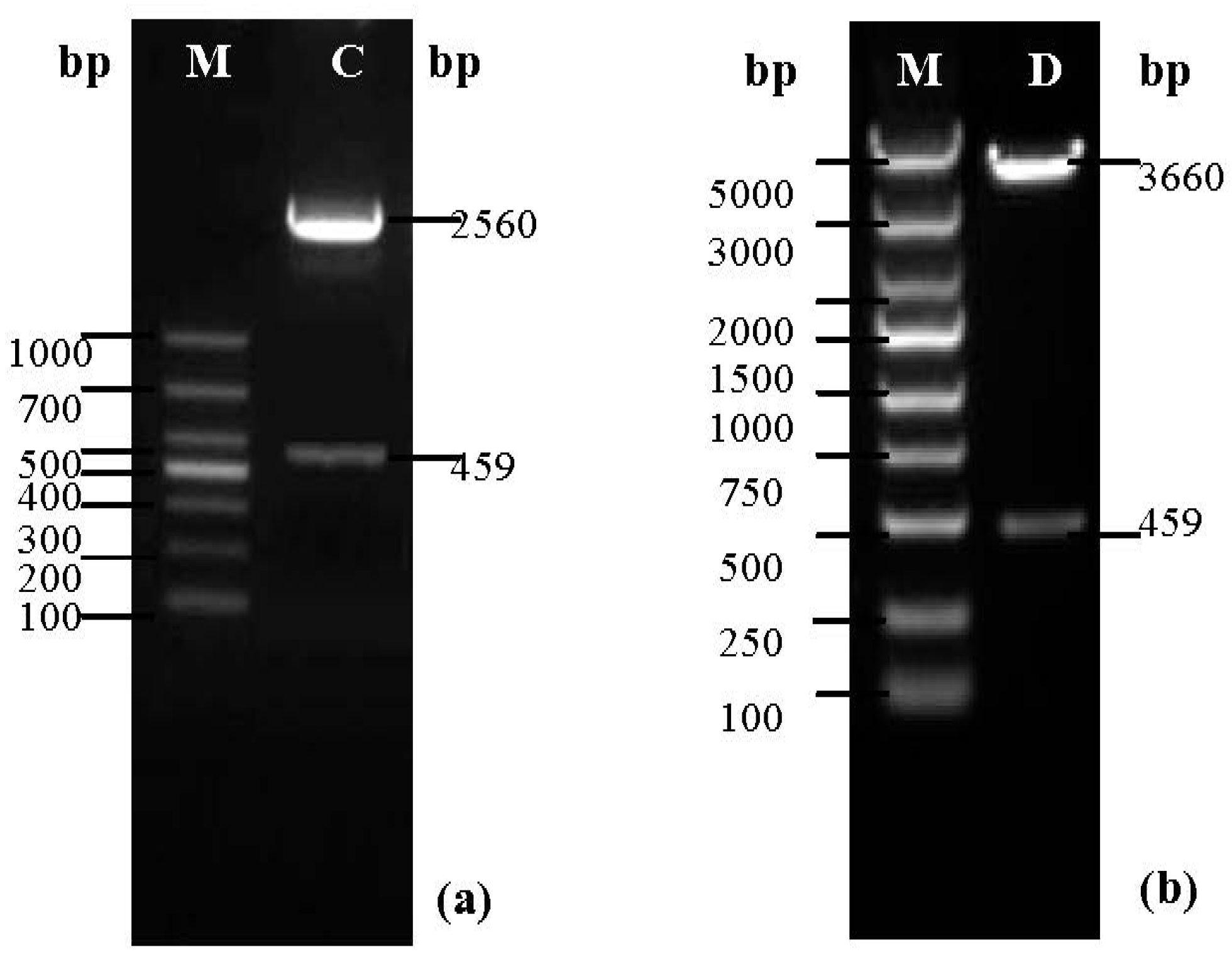 Molecules 19 08112 g002