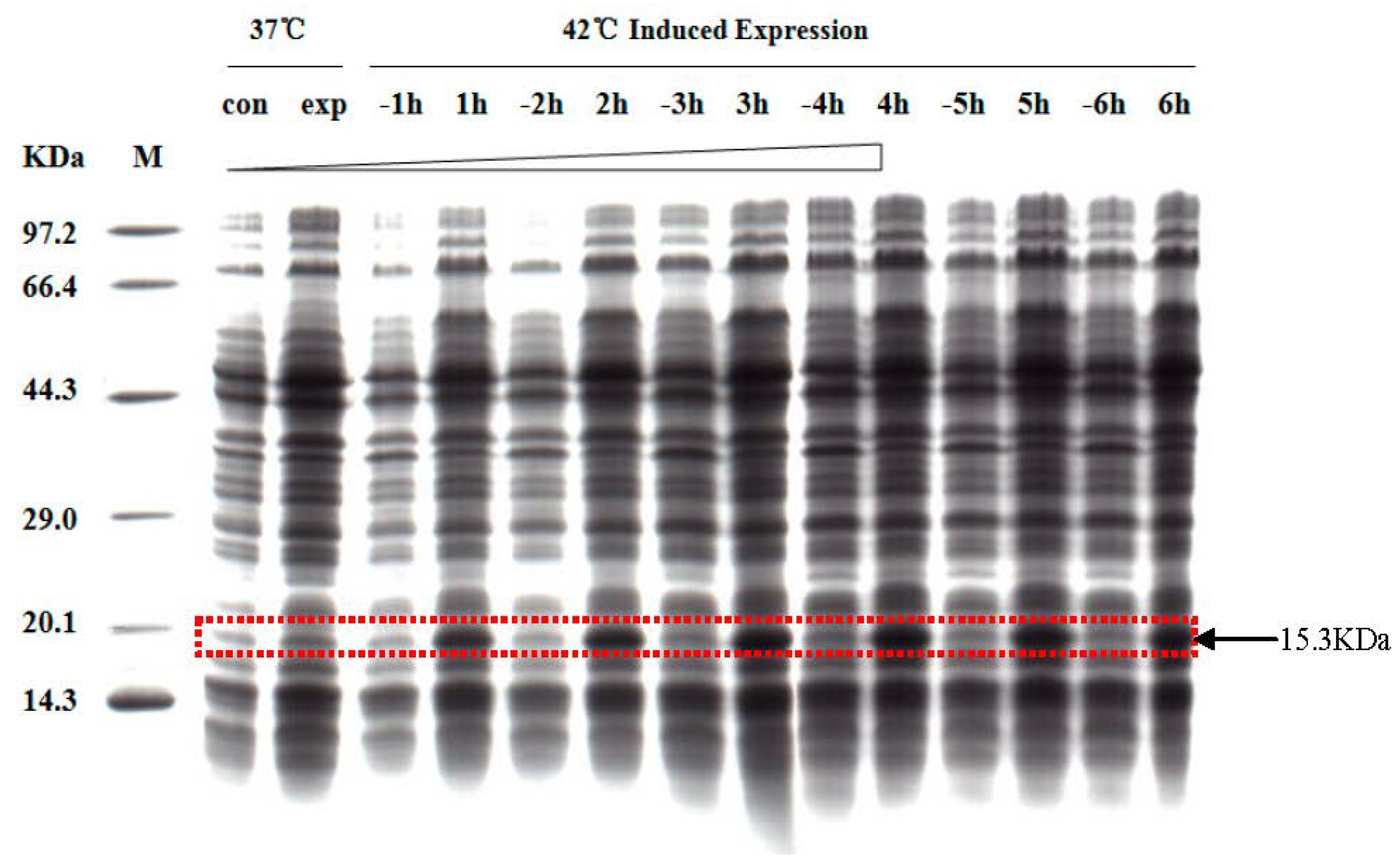 Molecules 19 08112 g004