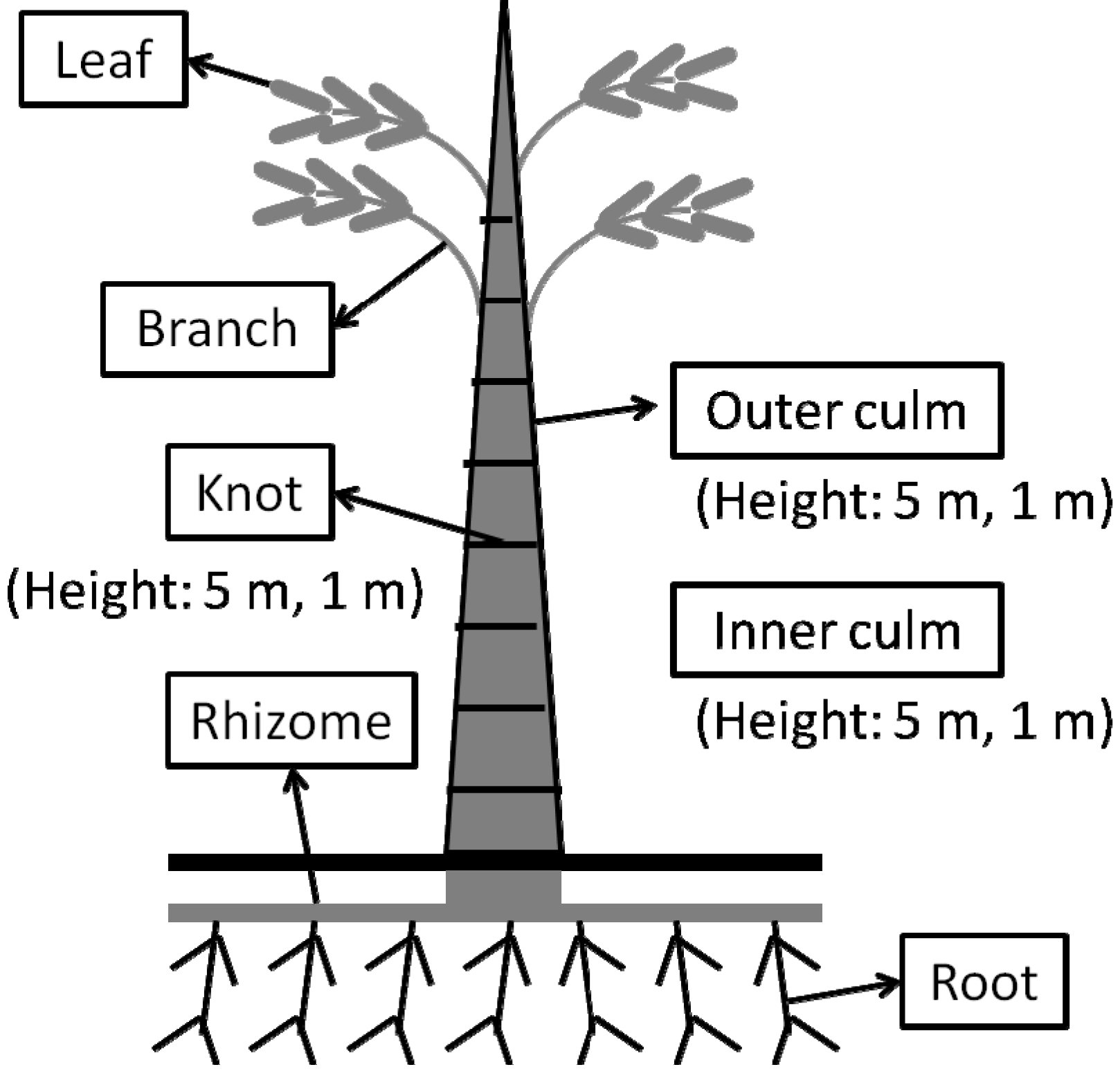 Molecules 19 08238 g001 550