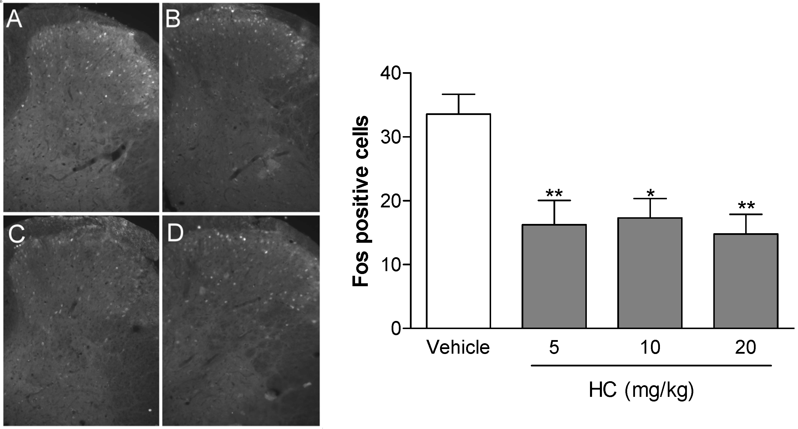 Molecules 19 08303 g005 550