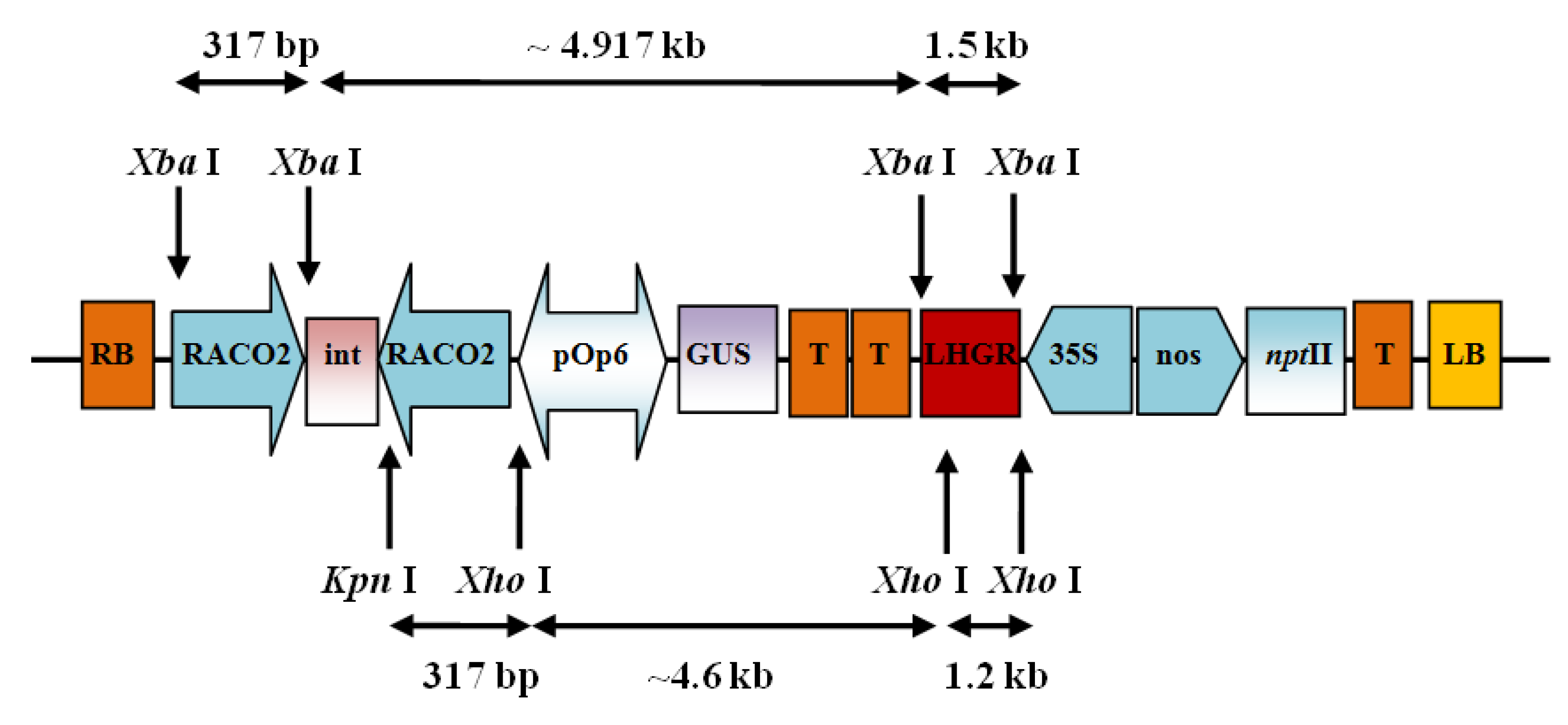 Molecules 19 08350 g004