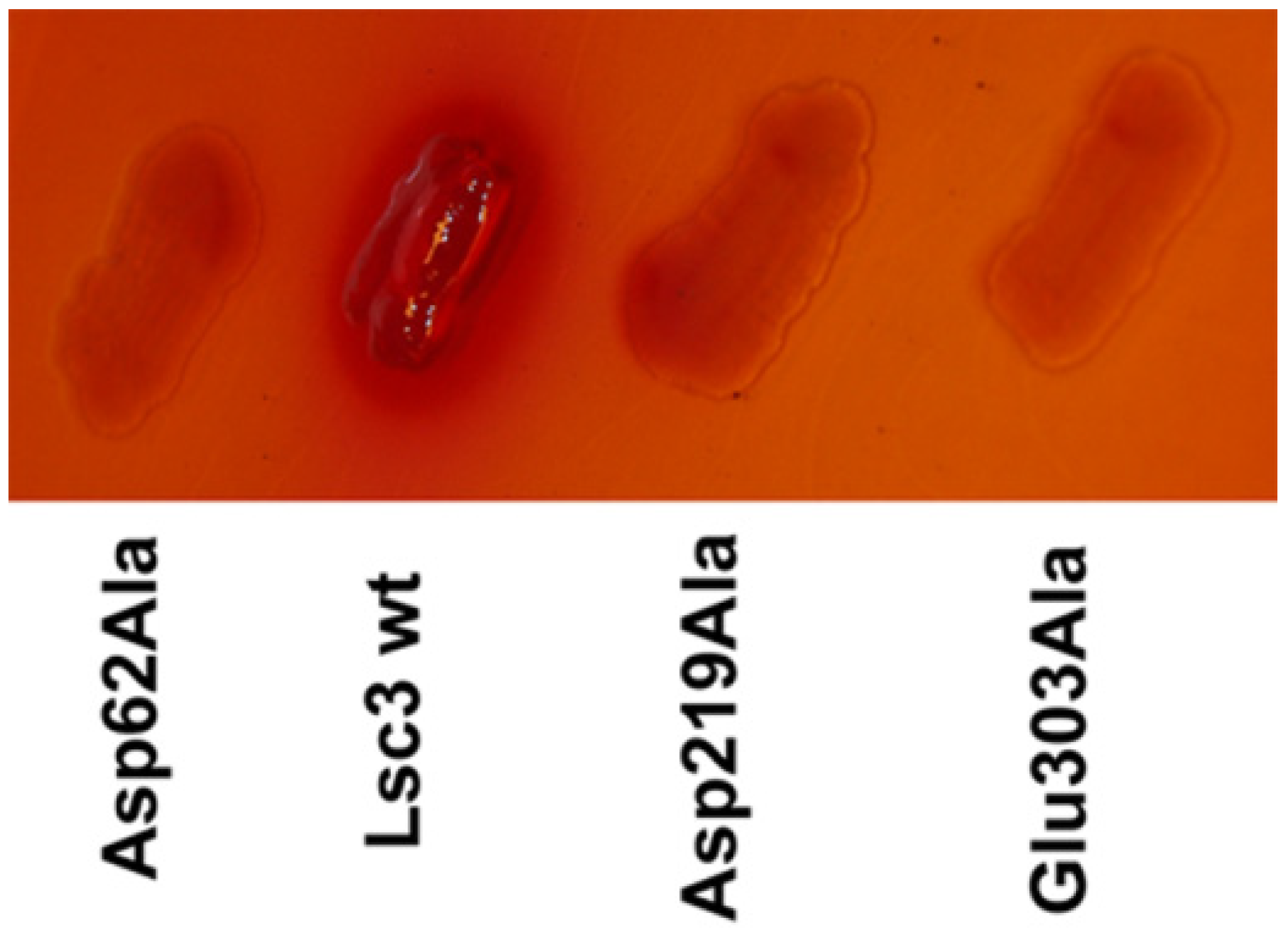 Molecules 19 08434 g003 550