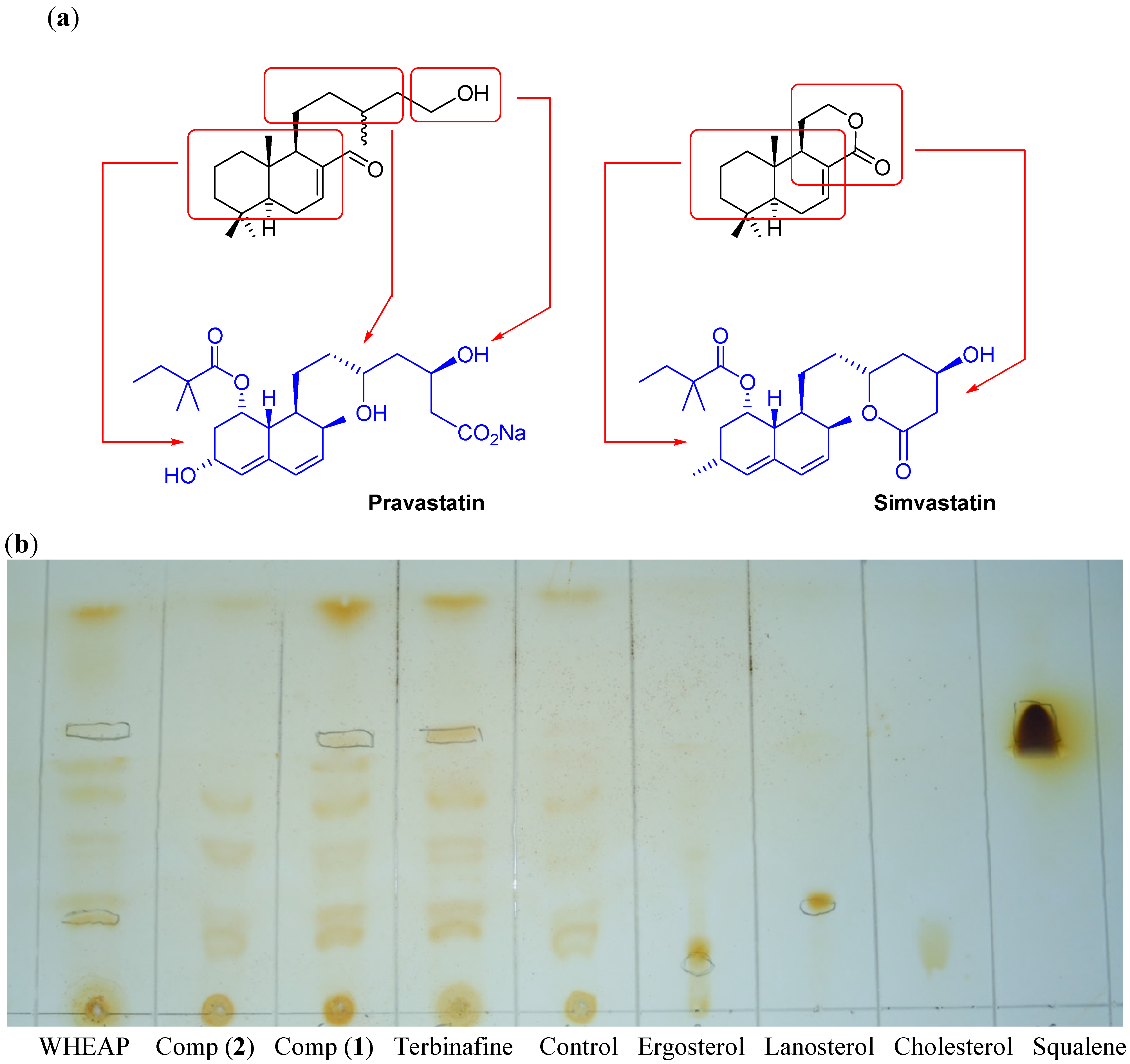 Molecules 19 08488 g007