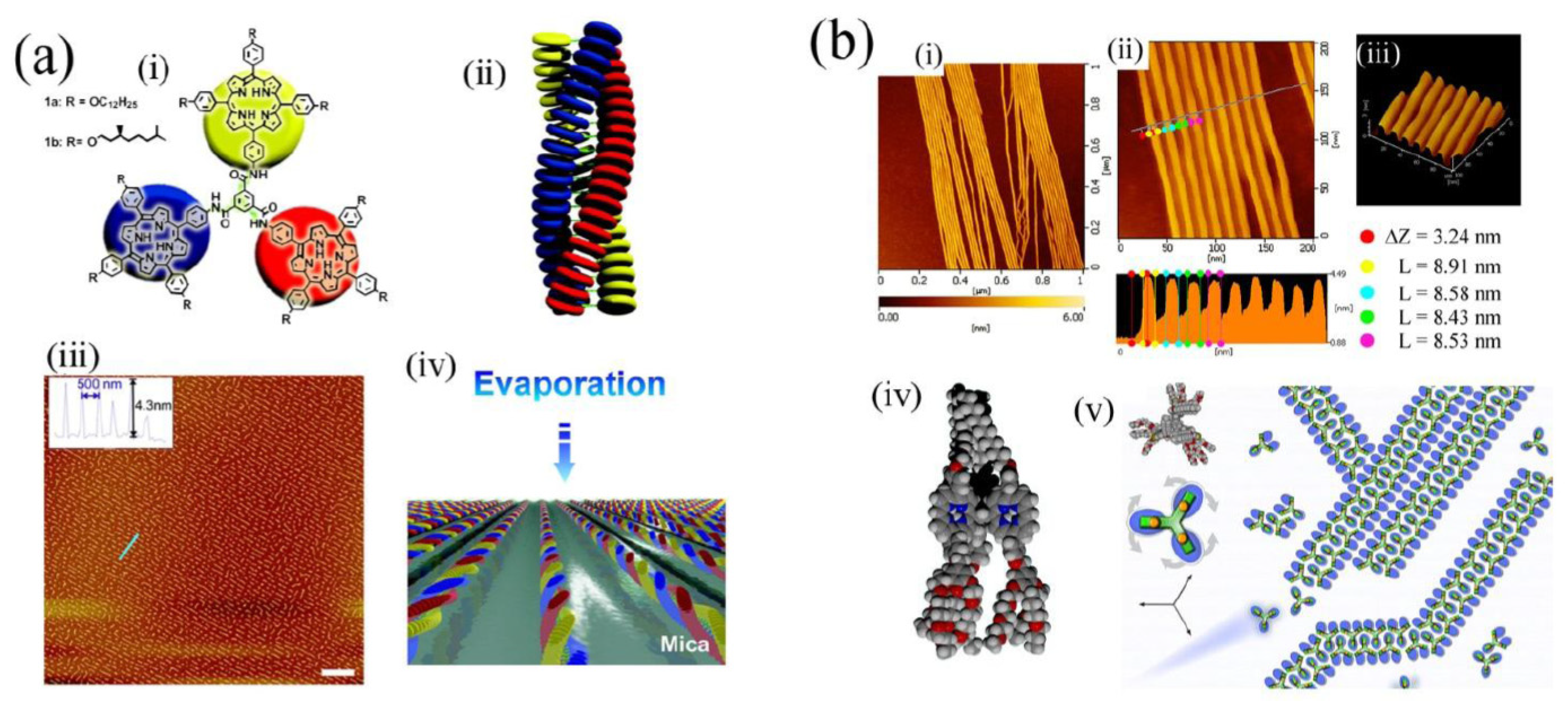 Molecules 19 08589 g006 550