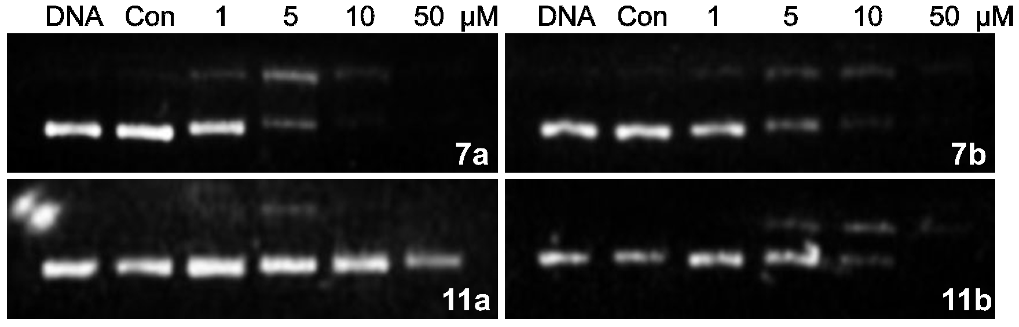 Molecules 19 08803 g004