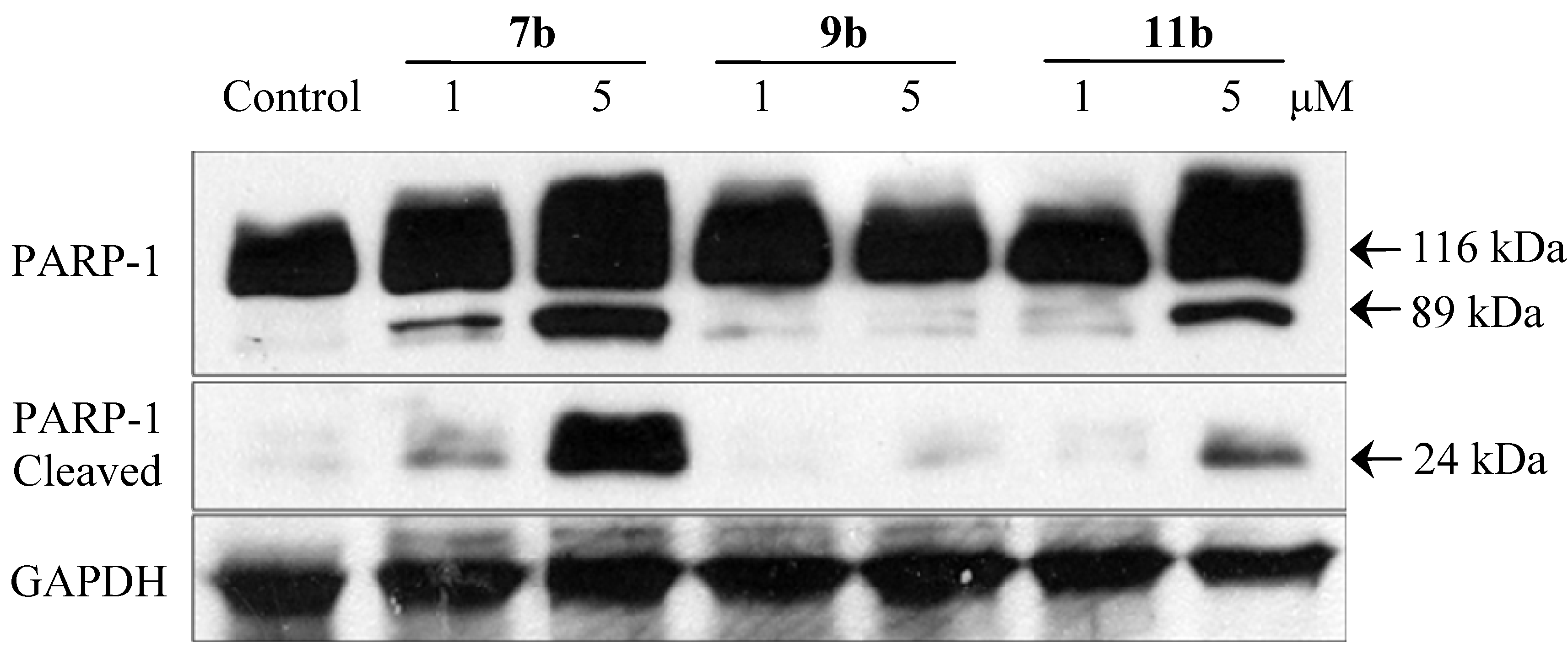 Molecules 19 08803 g006